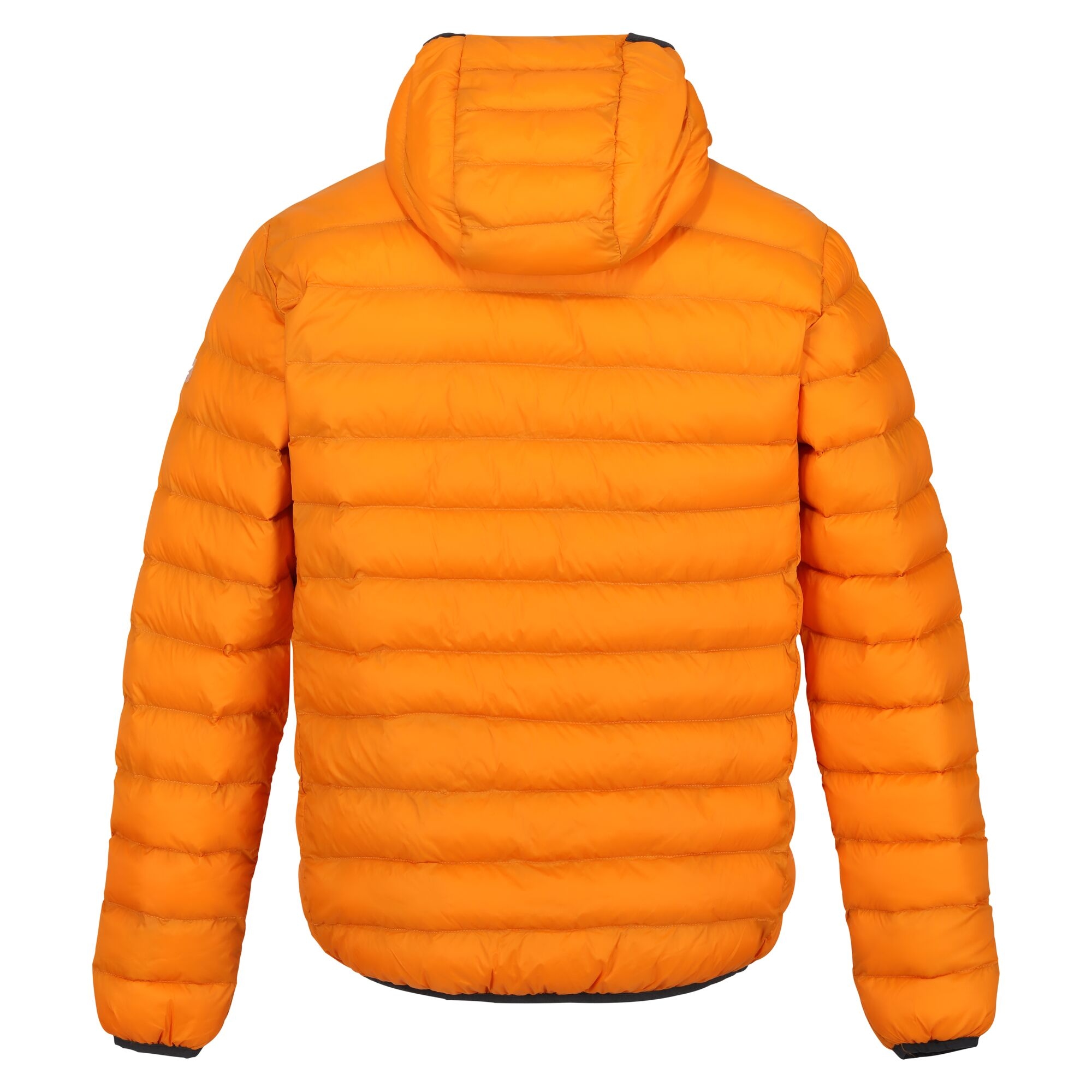 Men's Hooded Marizion Padded Jacket | Orange Pepper