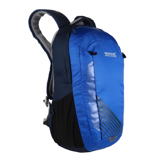 Britedale 20L Backpack | Black