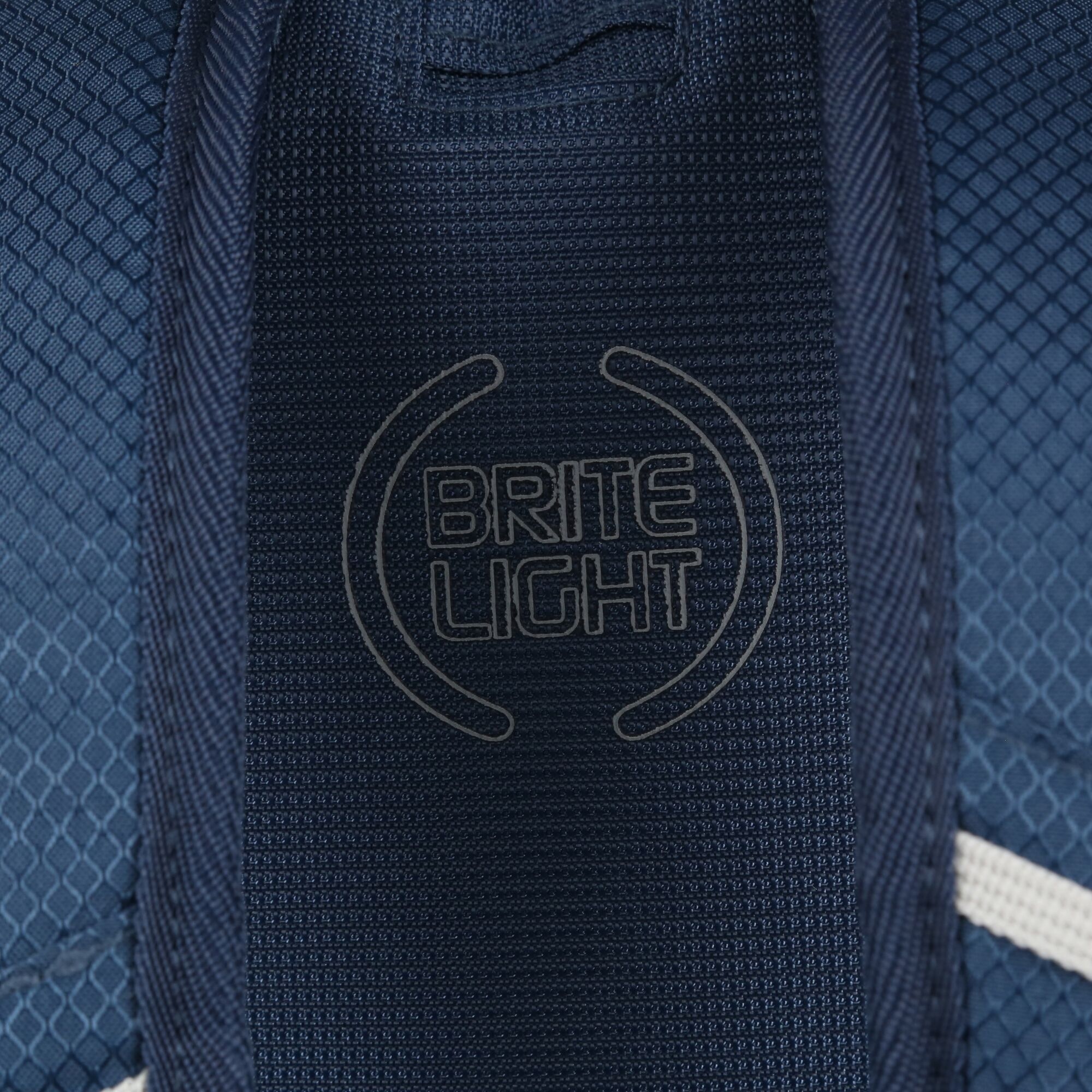 Britedale 20L Backpack | Imperial Blue