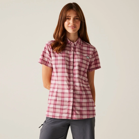 Women's Begarno Short Sleeve Shirt | Icy Morn Exotic Plume Check
