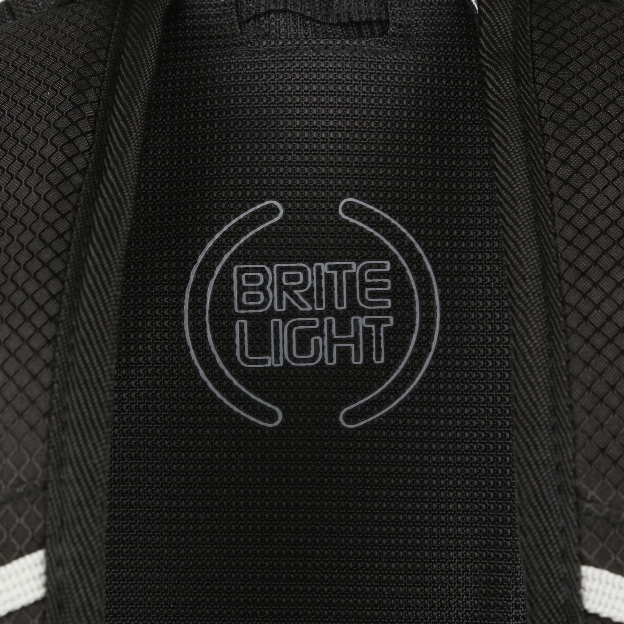 Britedale 20L Backpack | Black
