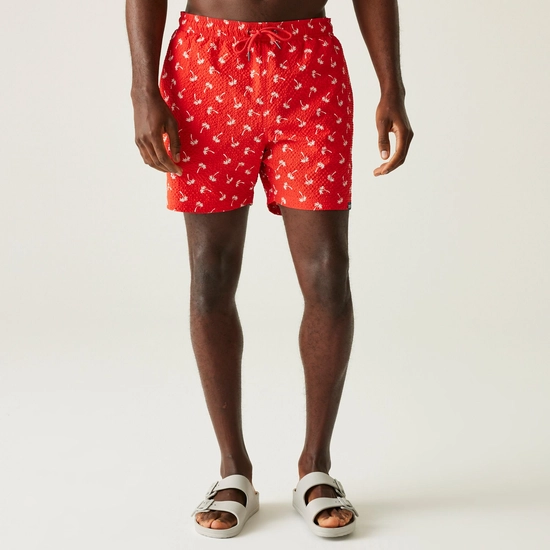 Men's Loras Swim Shorts | Navy Seersucker Stripe
