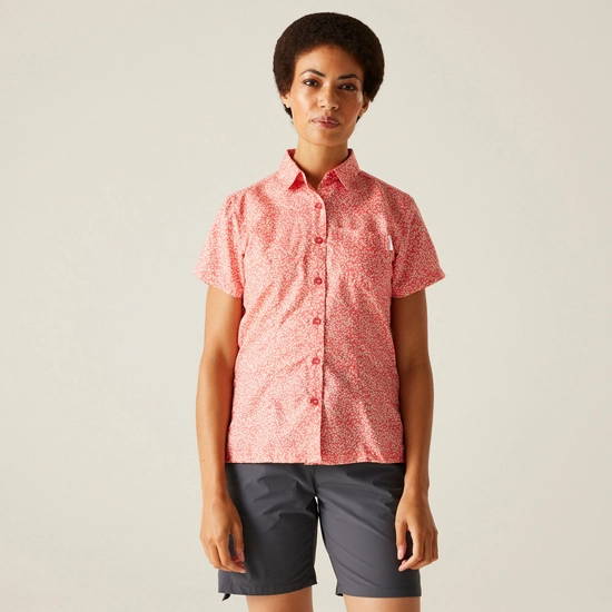 Women's Mindano VIII Short Sleeve Shirt | Exotic Plume Check