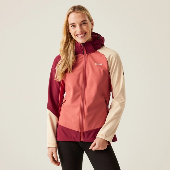 Women's Desoto X Softshell Jacket | Rumba Red