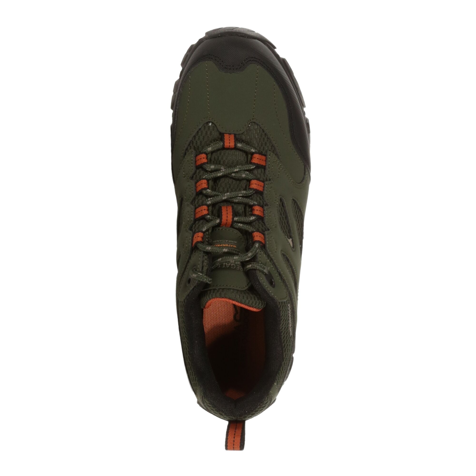 Men's Holcombe Waterproof Low Walking Shoes | Bayleaf Burnt Umber