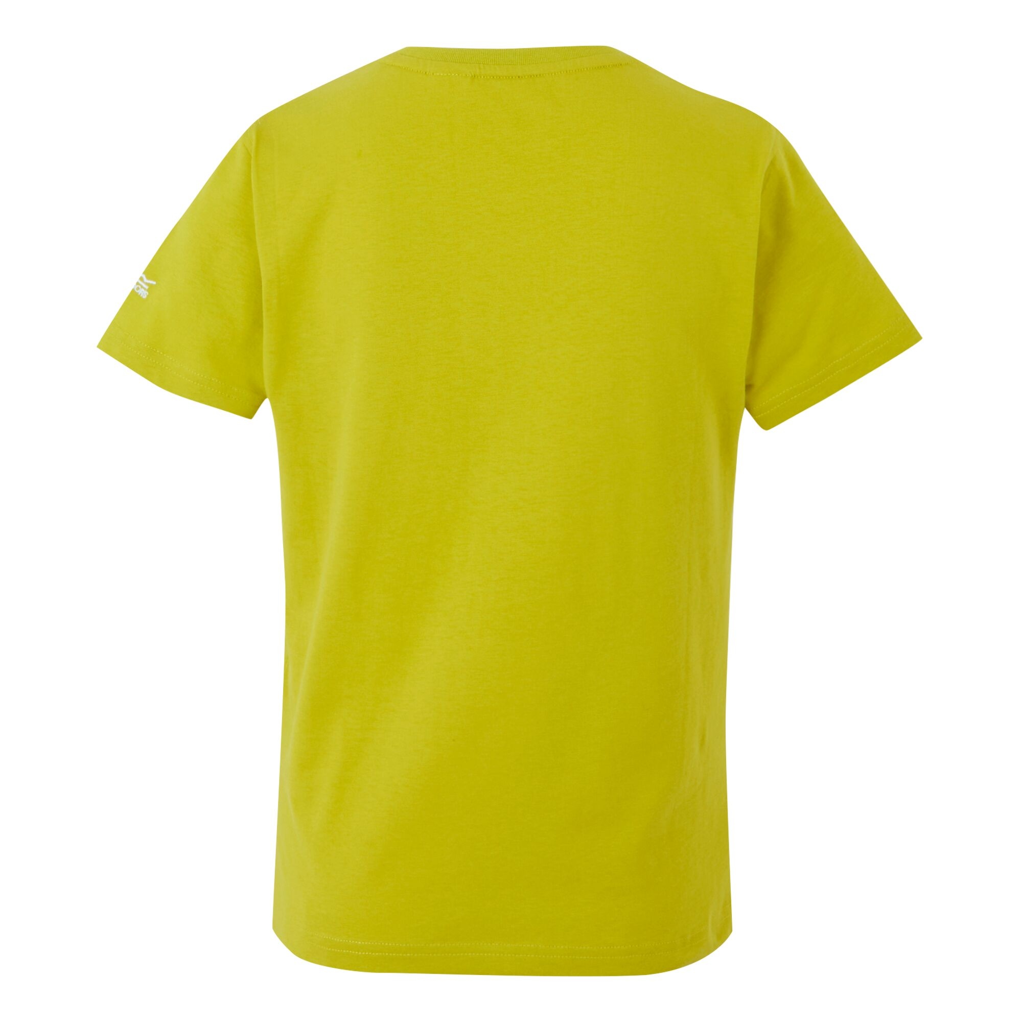 Kids' Bosley VIII T-Shirt | Grenoble Green