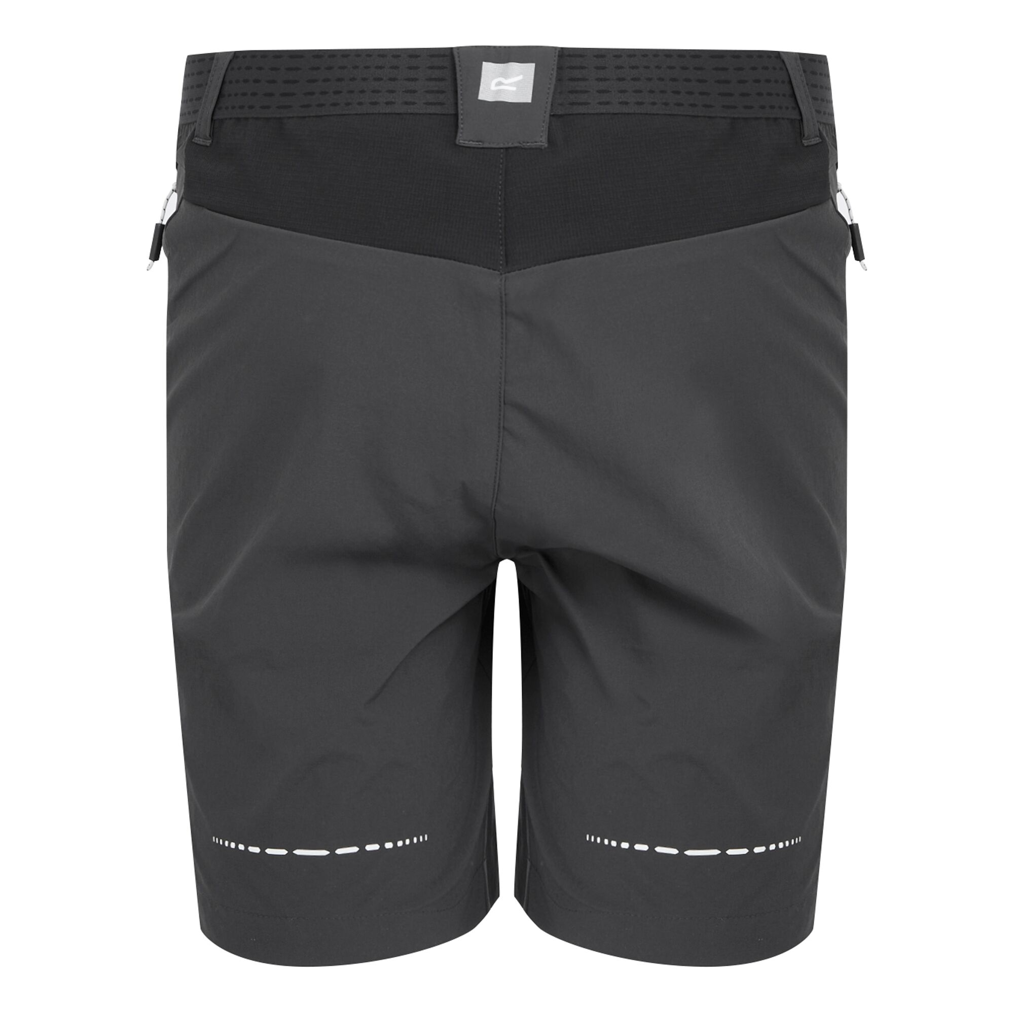 Men's Mountain II Walking Shorts | Ash Black