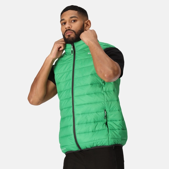 Men's Marizion Padded Gilet | Navy Fox
