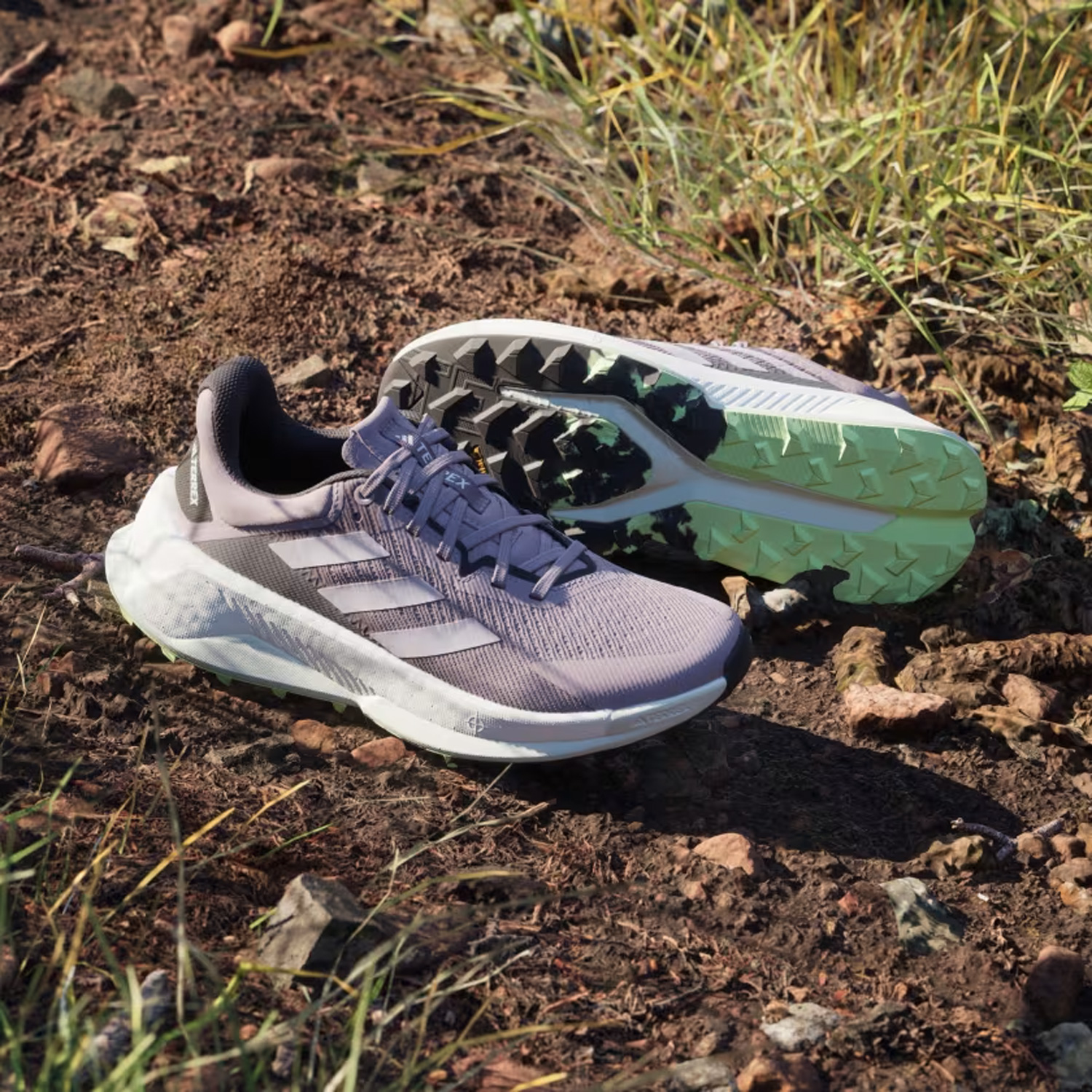 adidas Terrex Soulstride Ultra Preloved Fig/Silver Dawn/Aurora Black