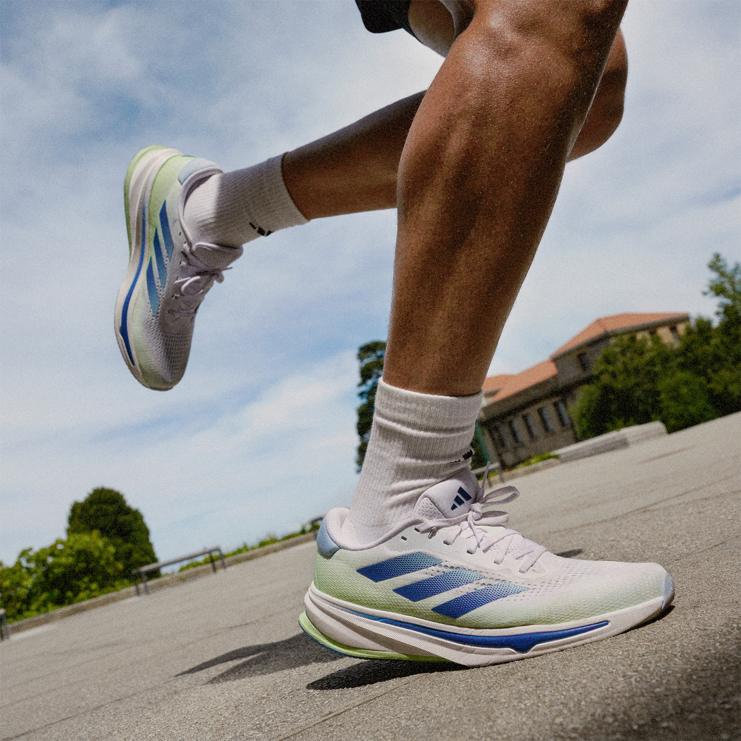 adidas Supernova Rise Cloud White/Wonder Blue/Green Spark
