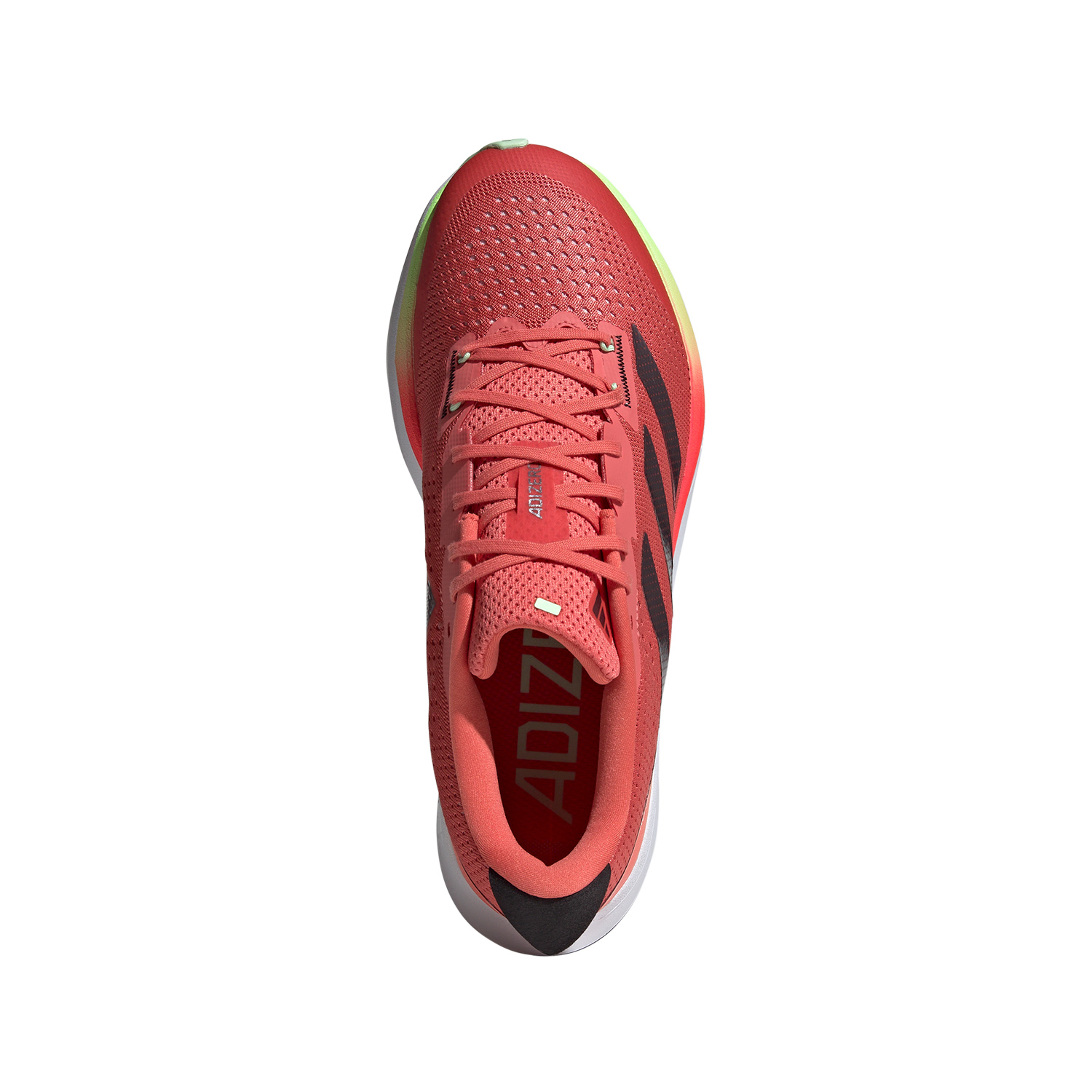 adidas adizero SL Preloved Scarlet/Aurora Met/Solar Red