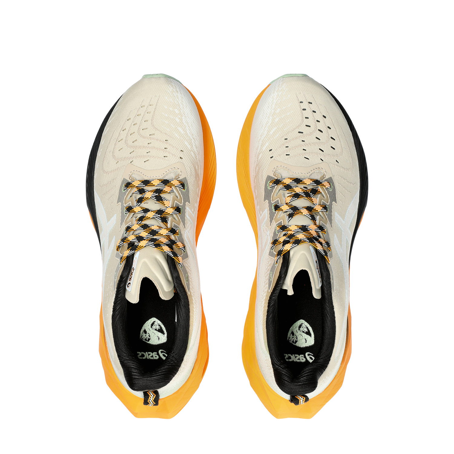 Asics Novablast 4 TR Nature Bathing/Fellow Yellow