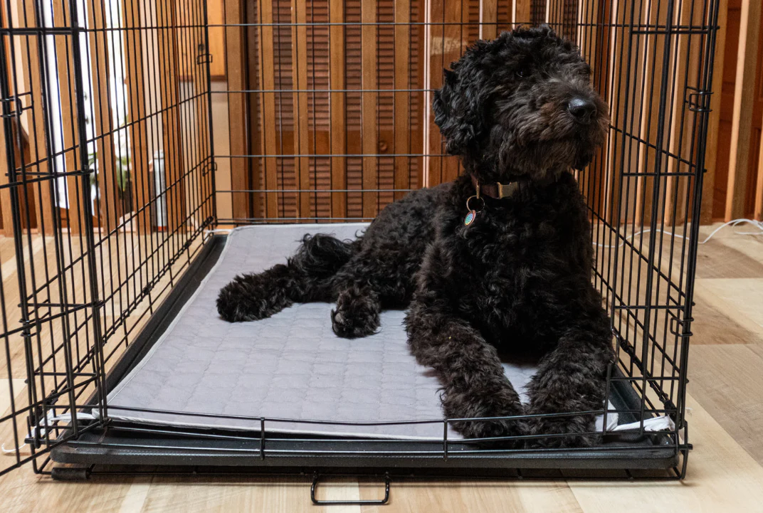 Plush Dog Earthing Pad