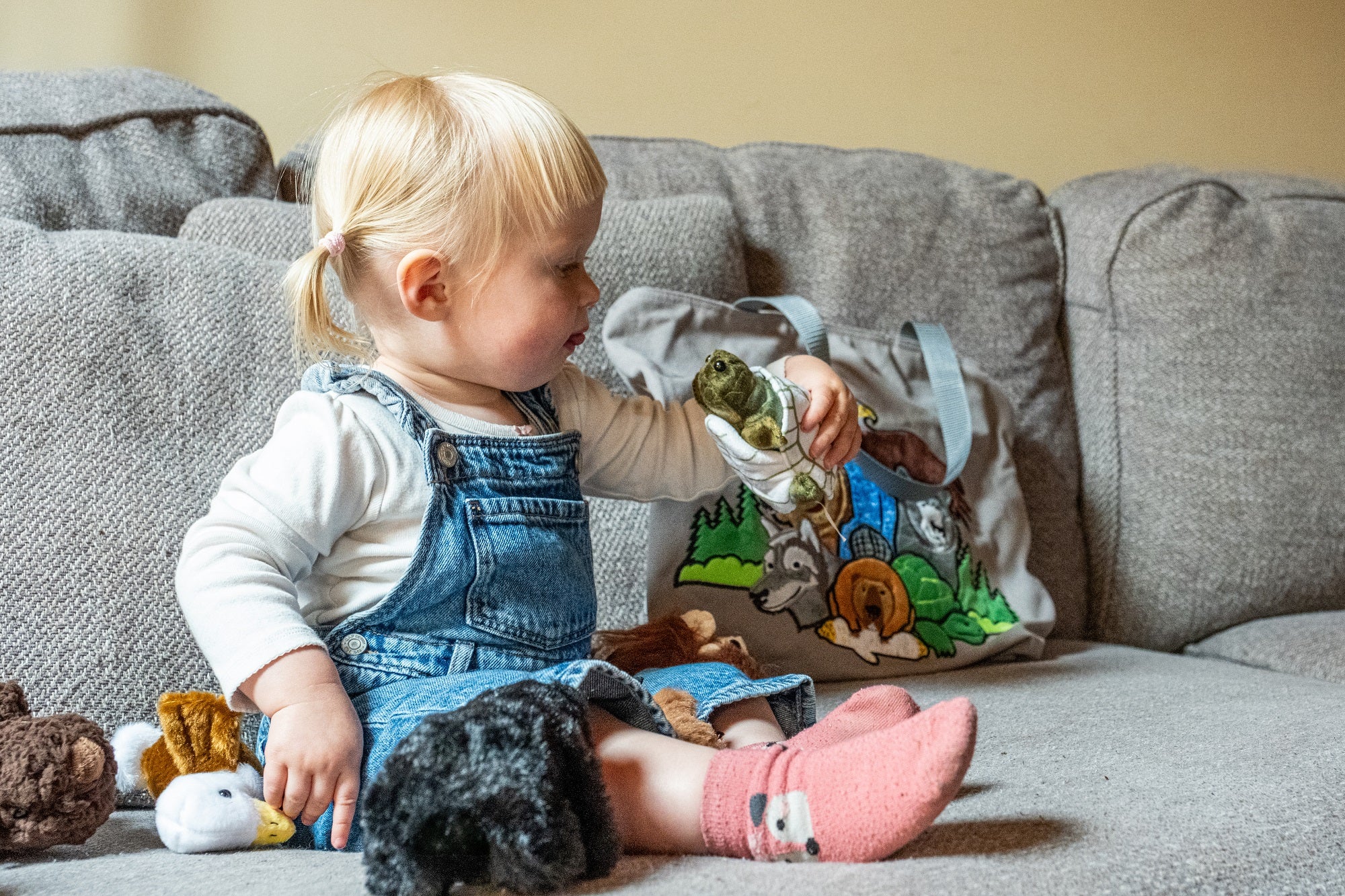 Seven Teaching Puppet Set