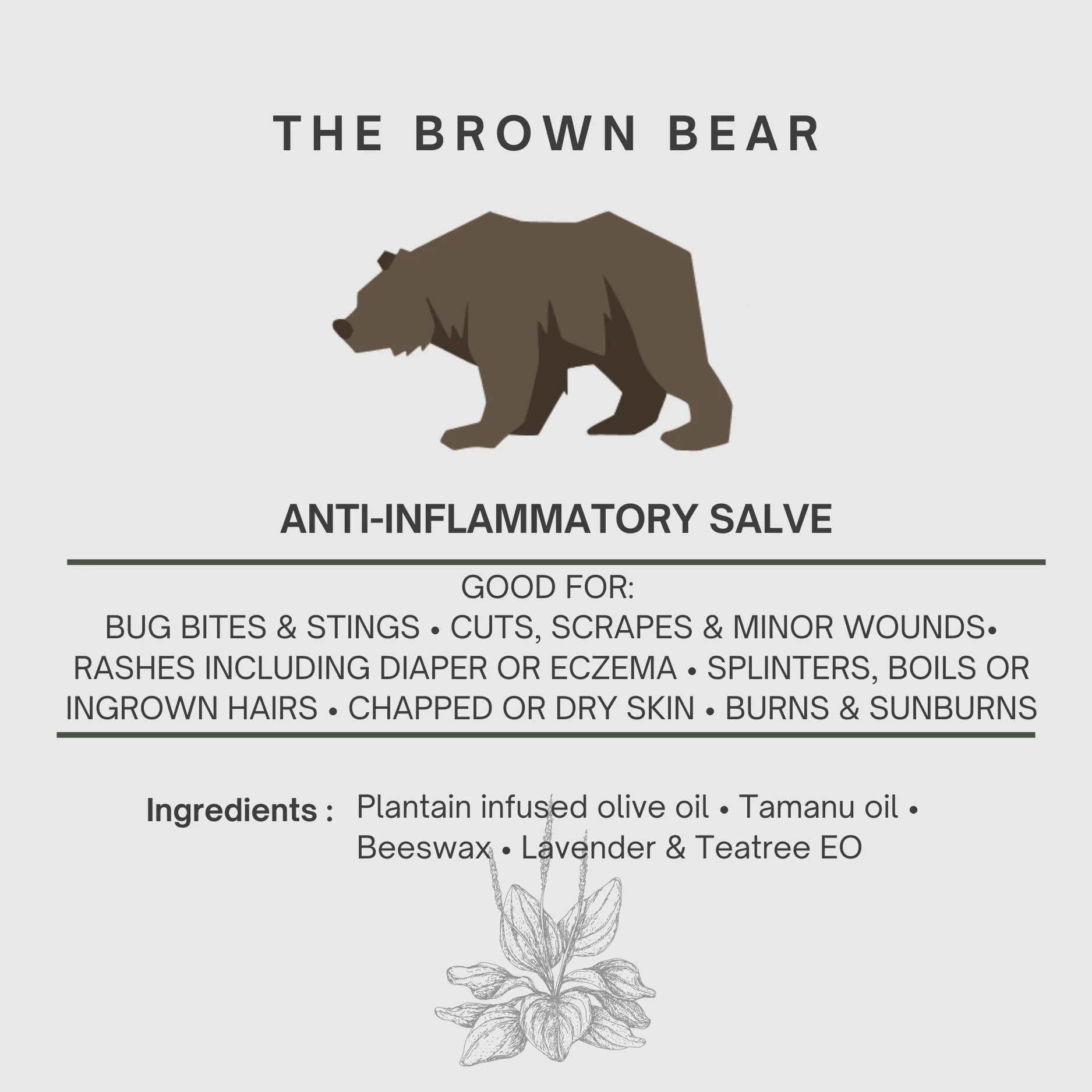 The Brown Bear Anti Inflammatory Salve