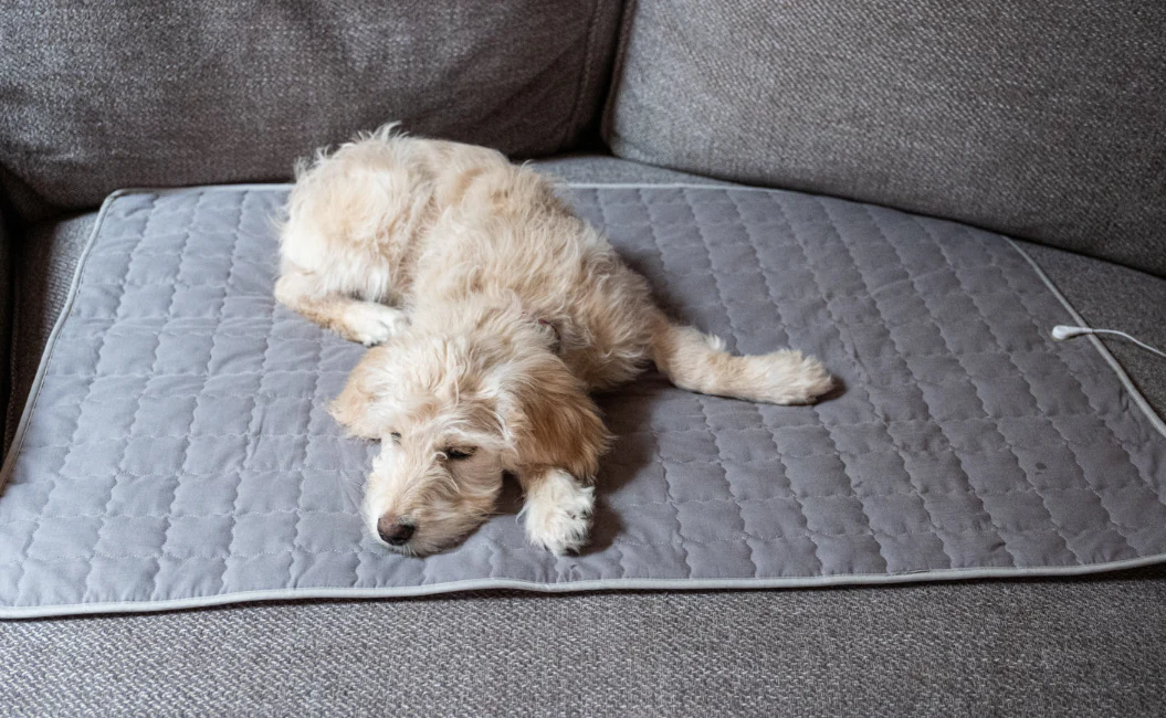 Plush Dog Earthing Pad