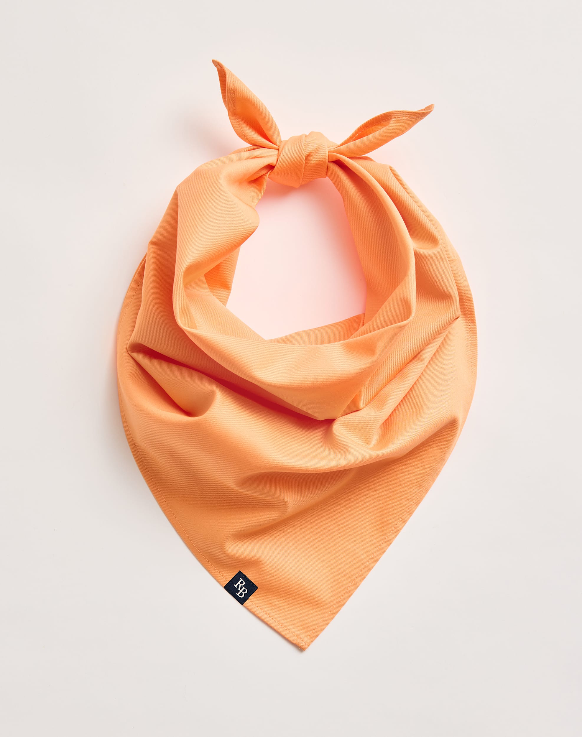 Bandana Scarves Set of 2