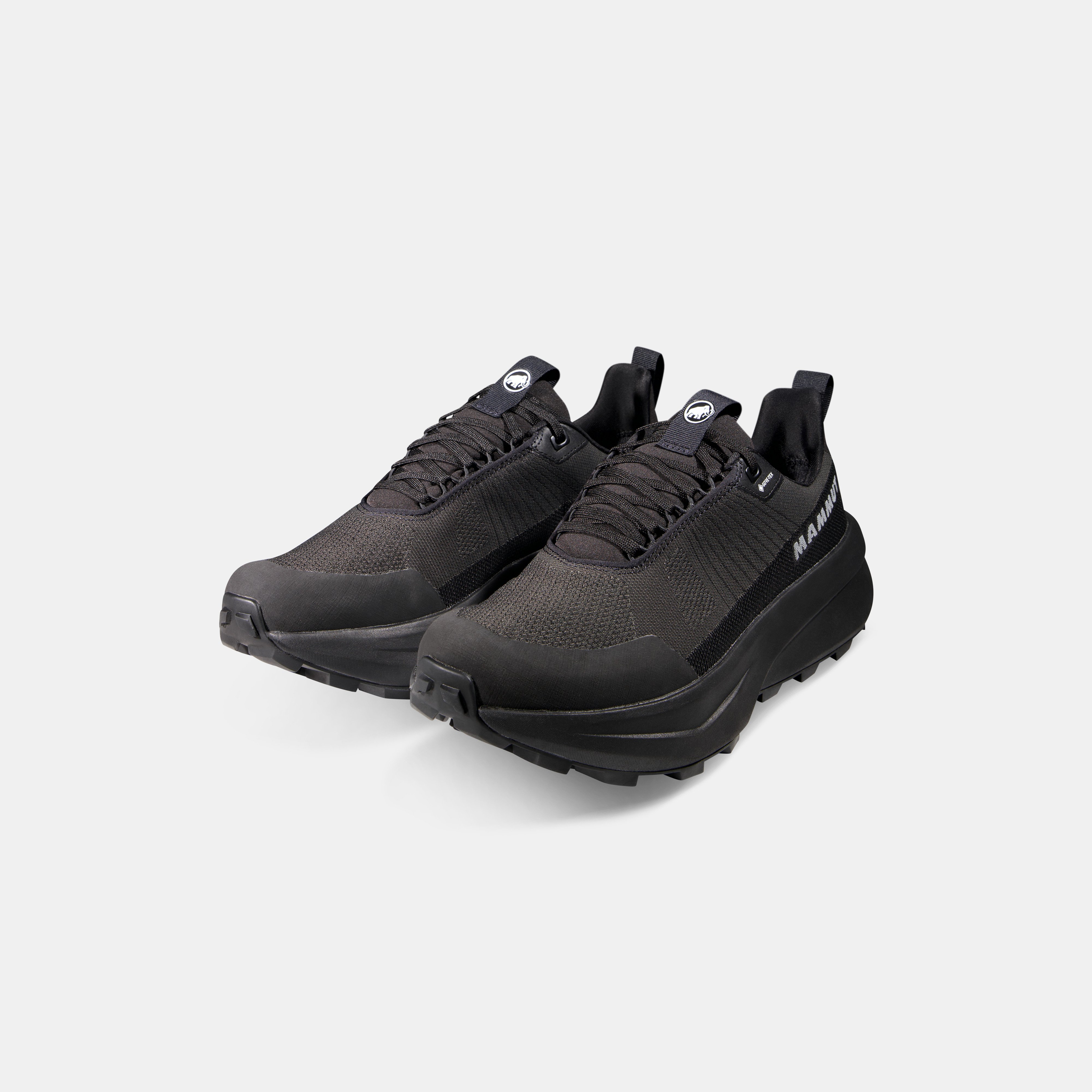 Aenergy Mtn Low GTX Men