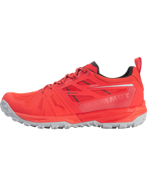 Saentis Low GTX&reg; Men