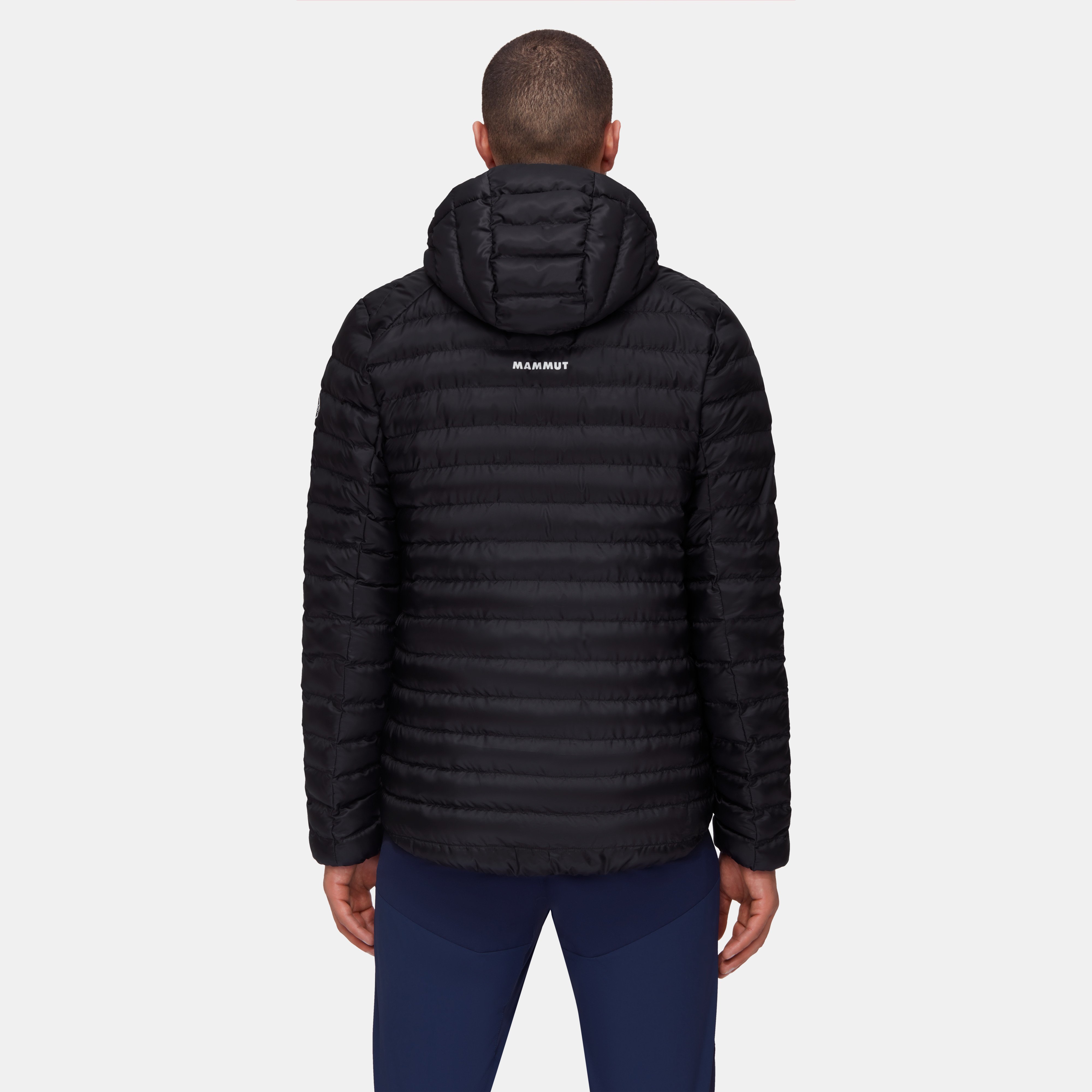 Albula IN Hooded Jacket Men