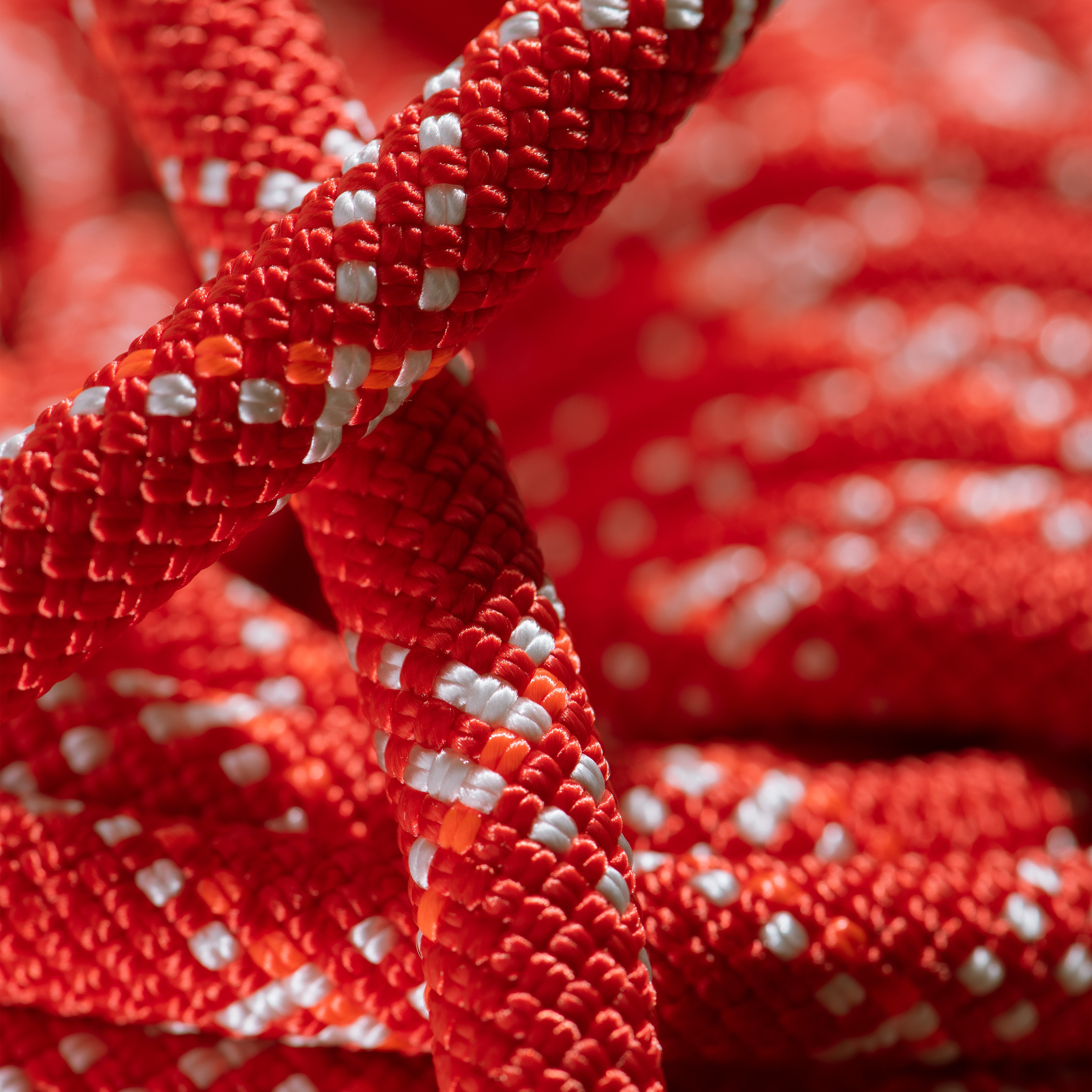 9.5 Gym Classic Rope 50m