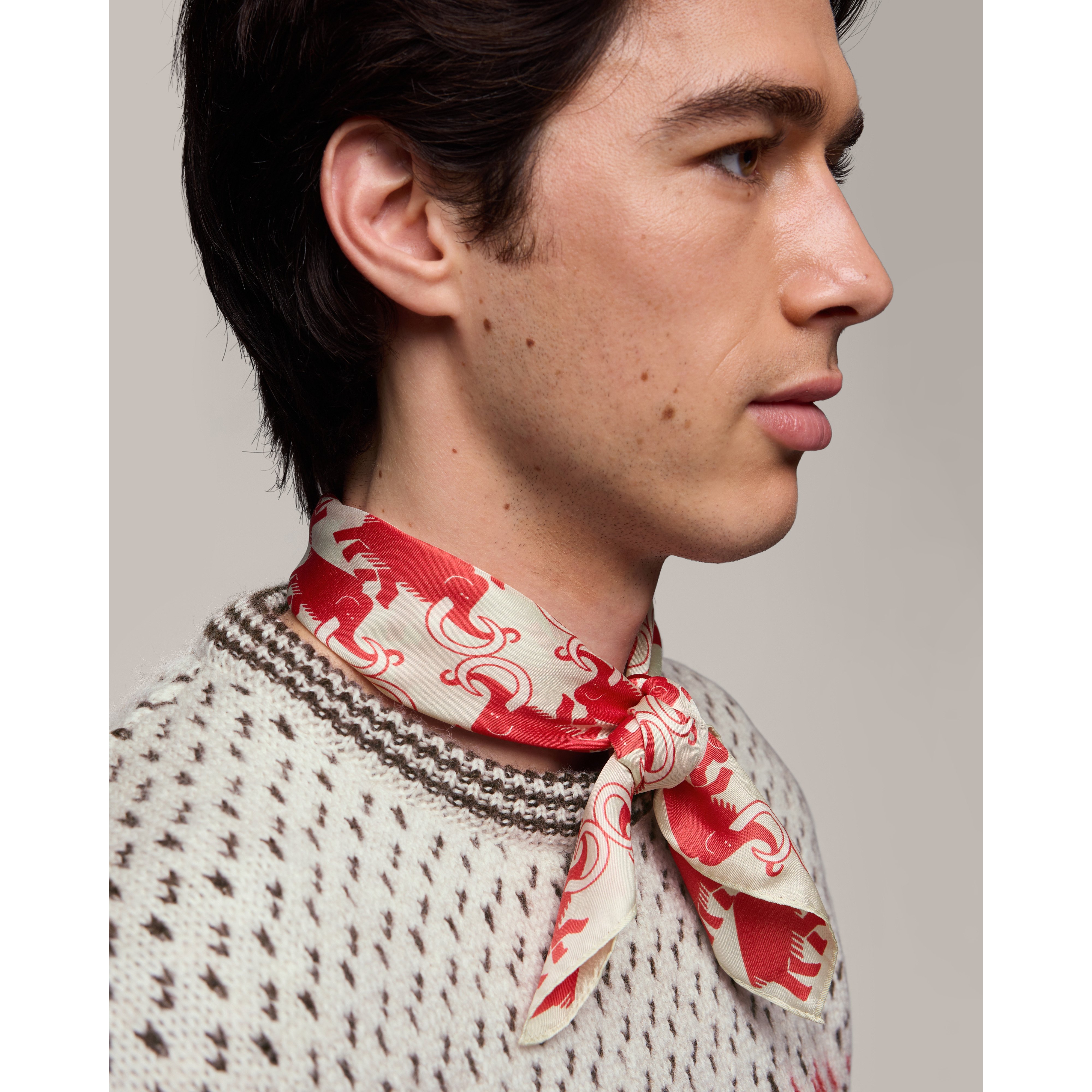 Mammut x Cabourn Direttissima Silk Scarf