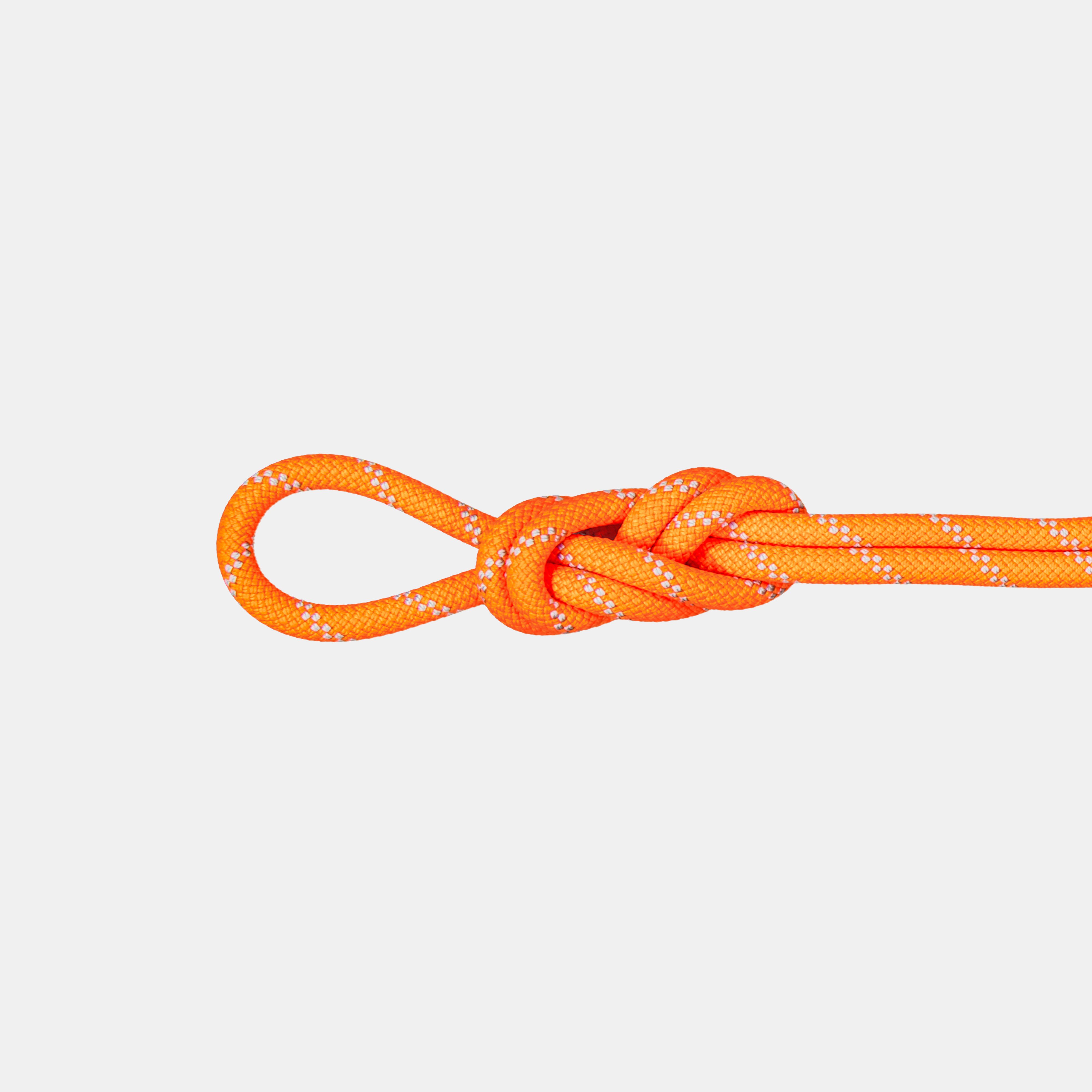 9.5 Alpine Dry Rope 40m