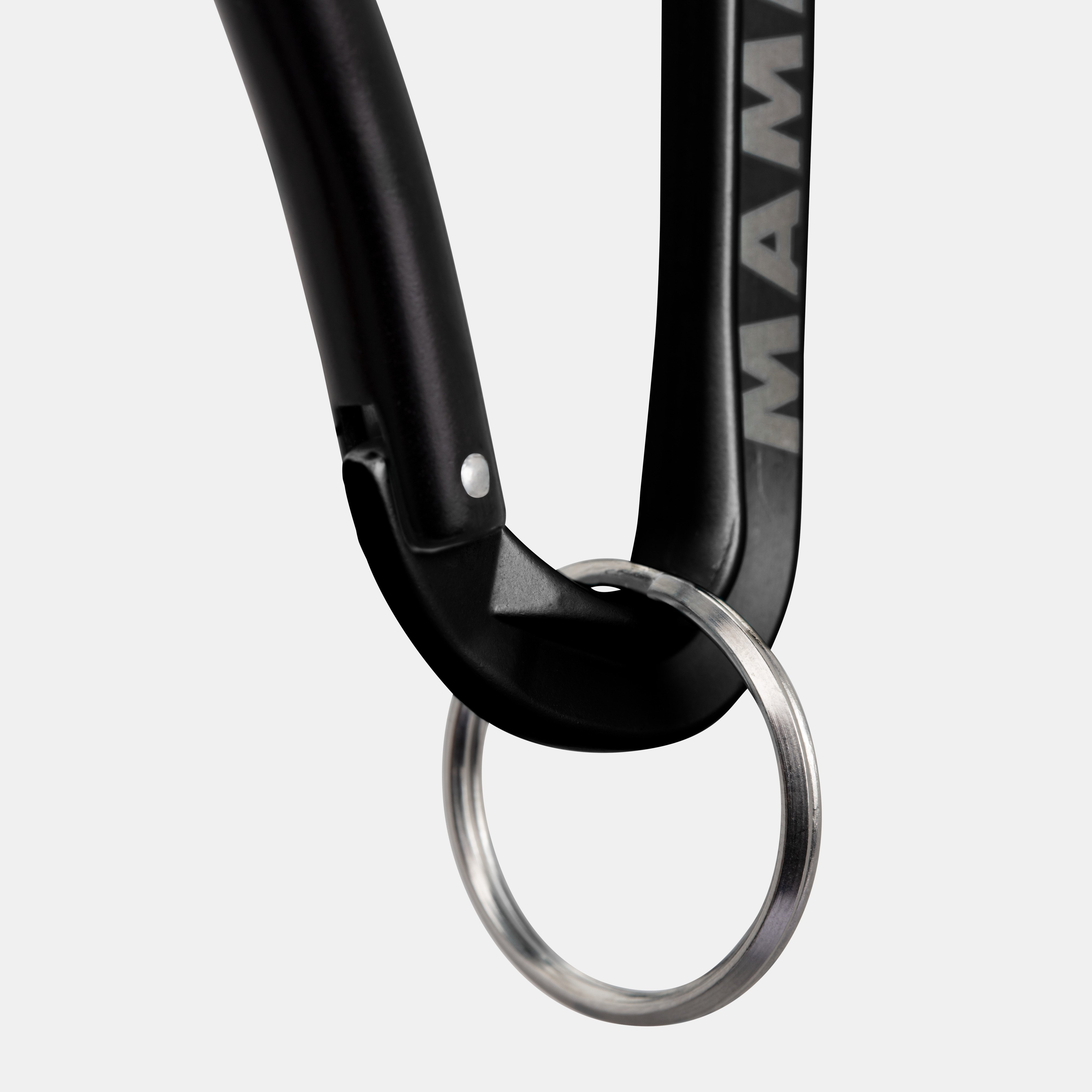 Mammut Mini Carabiner Workhorse Keylock L