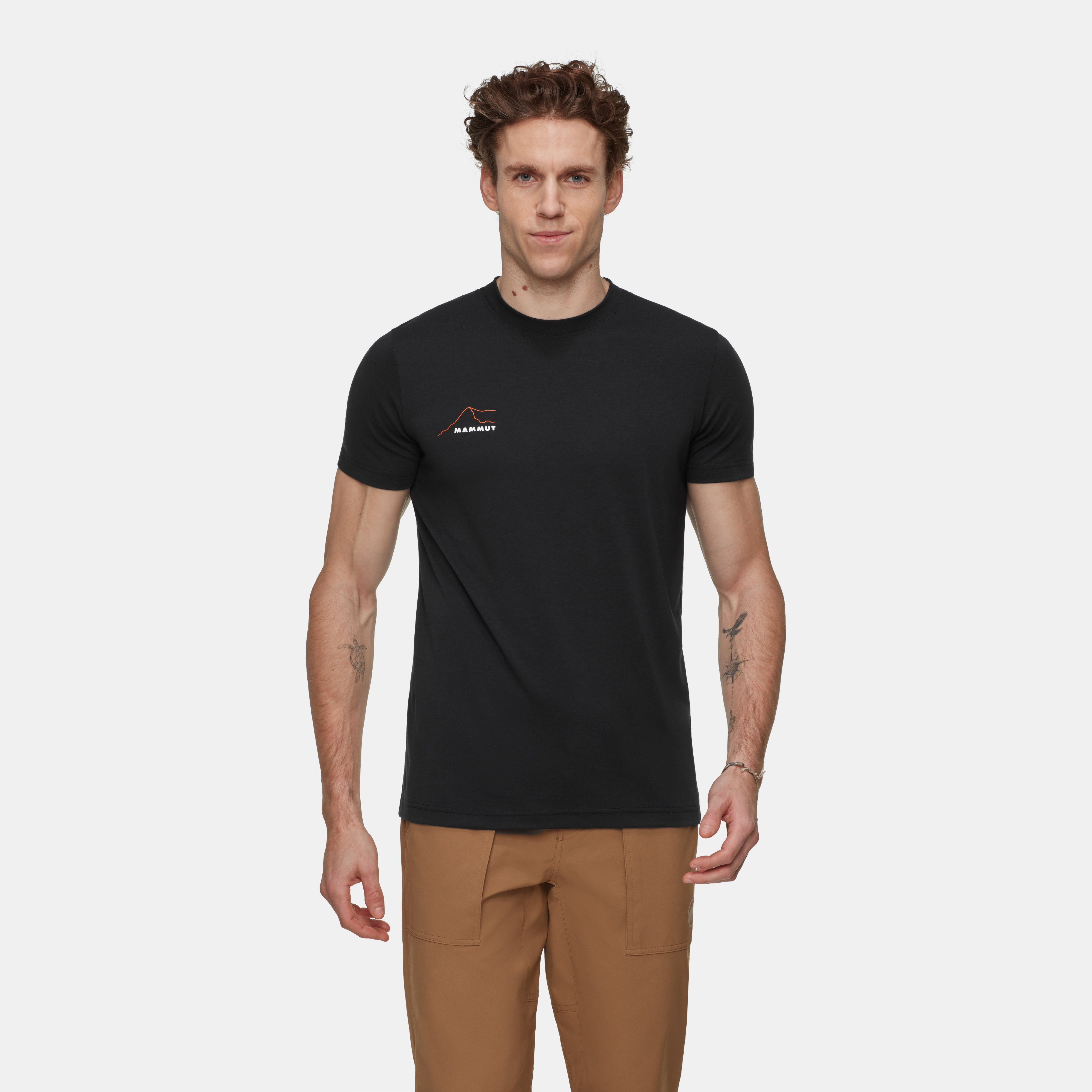 Mountain T-Shirt Men Eiger