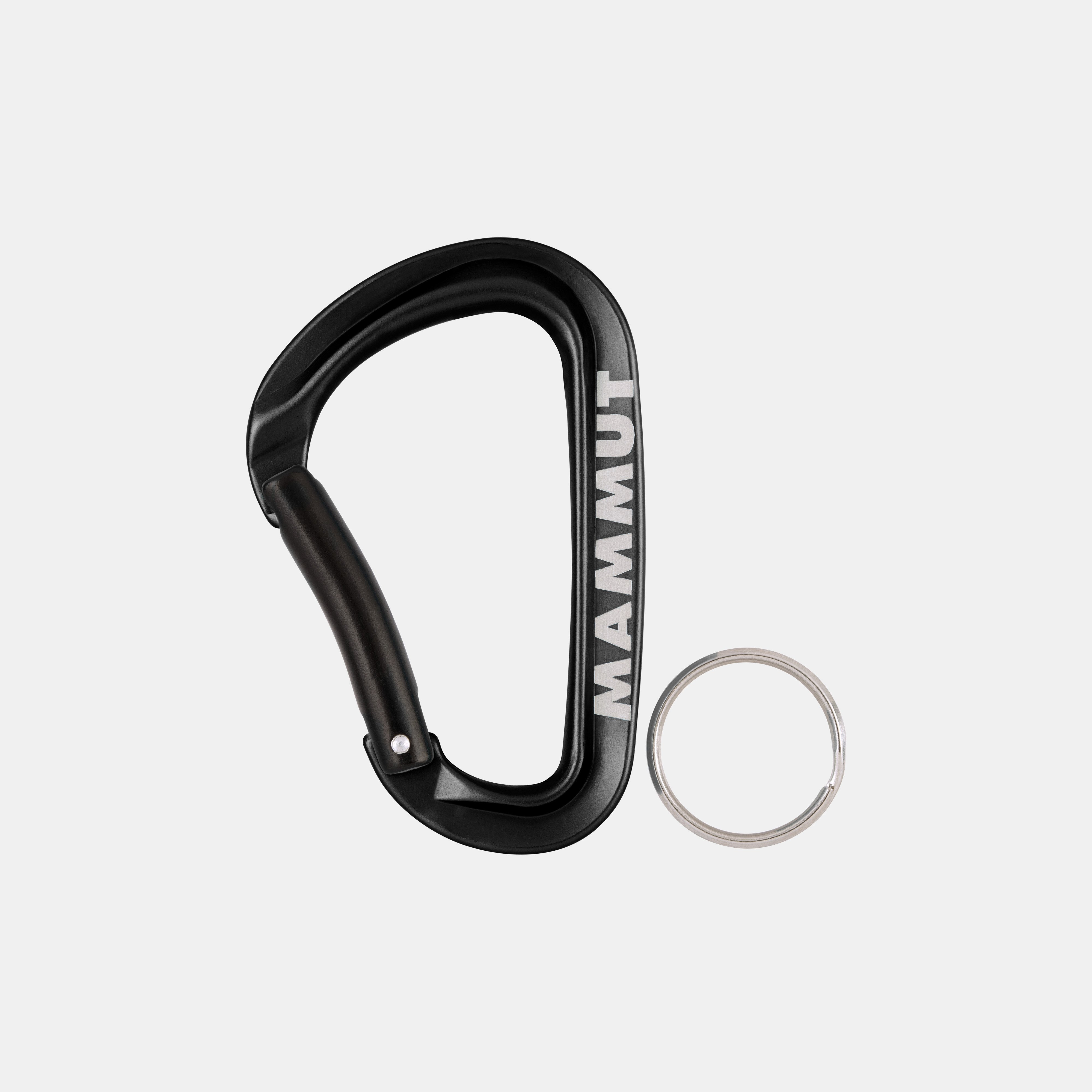 Mammut Mini Carabiner Workhorse Keylock L
