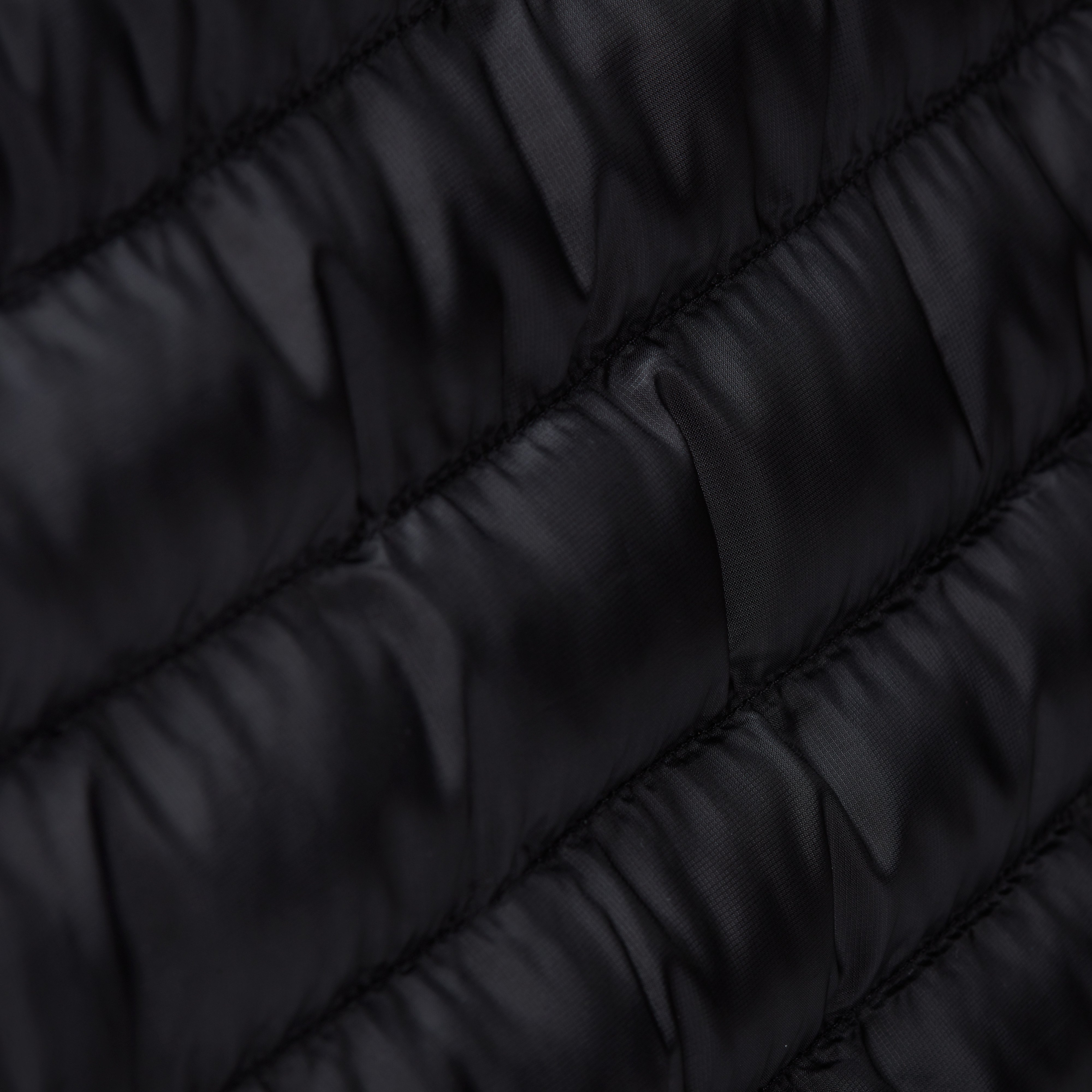 Albula IN Hooded Jacket Women