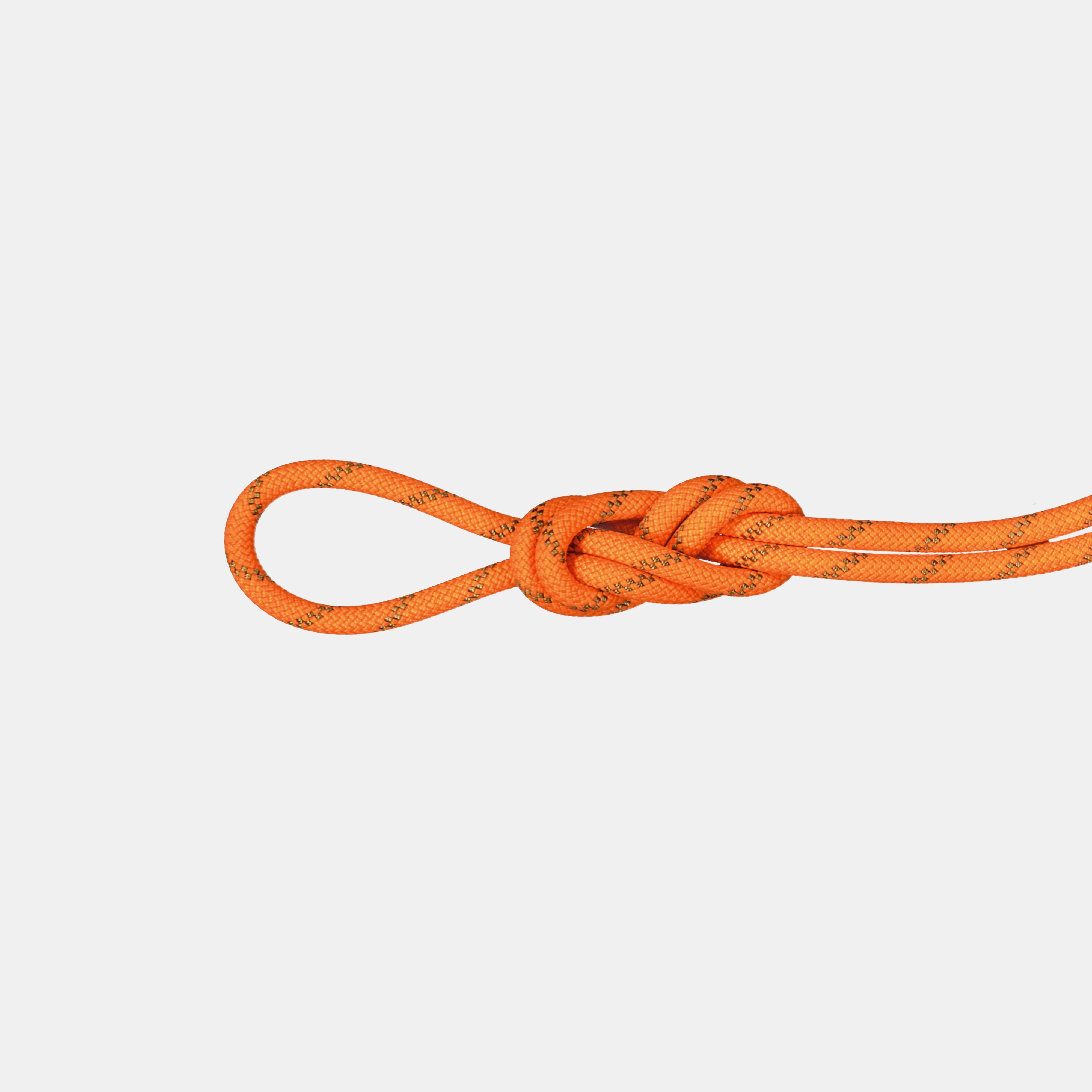 8.0 Alpine Dry Rope 50m