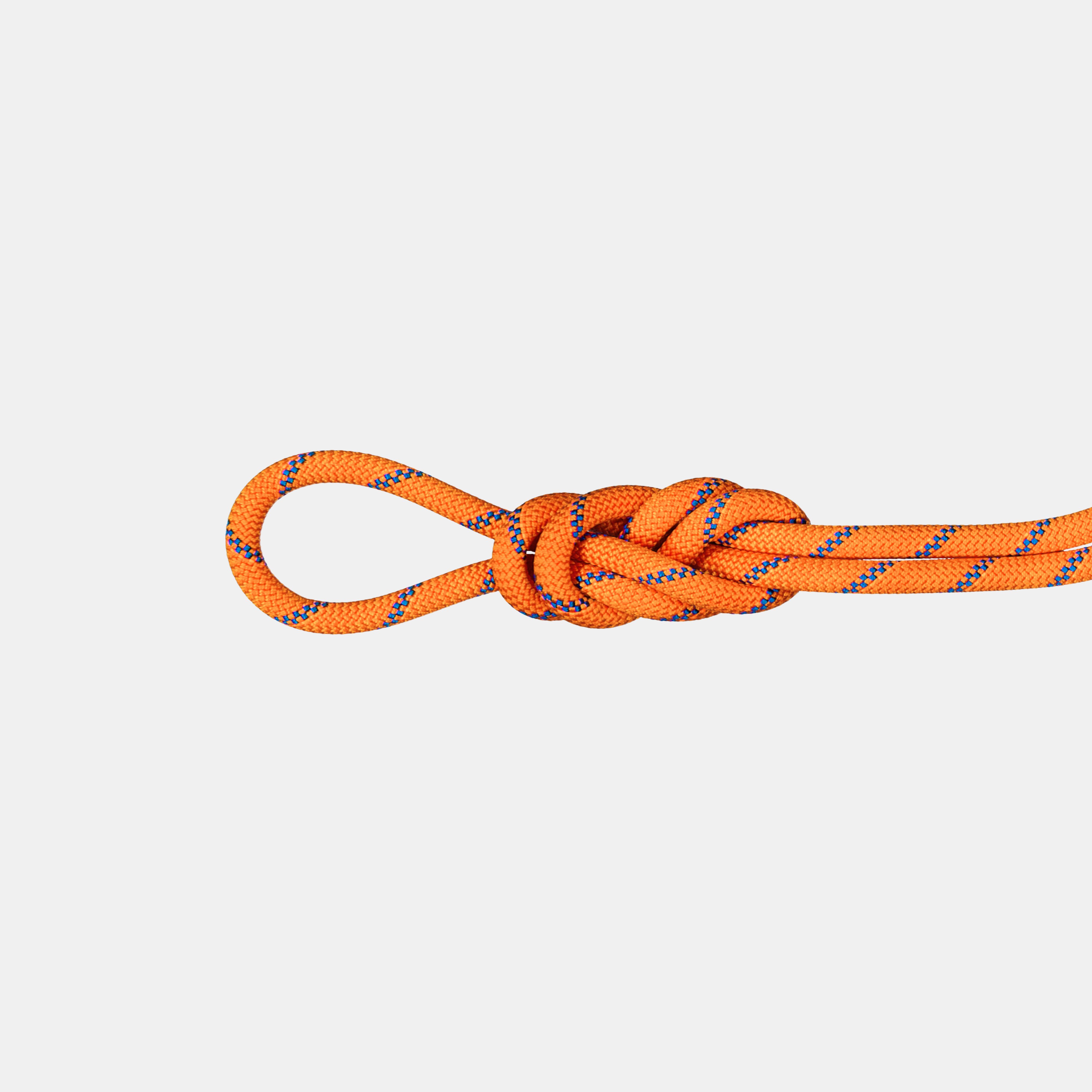 9.0 Alpine Sender Dry Rope 50m