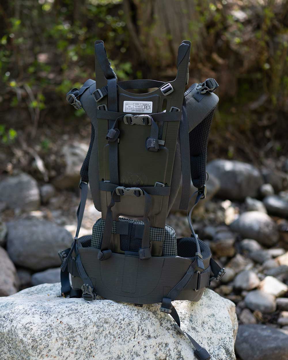 Women's PRO Suspension | Verde