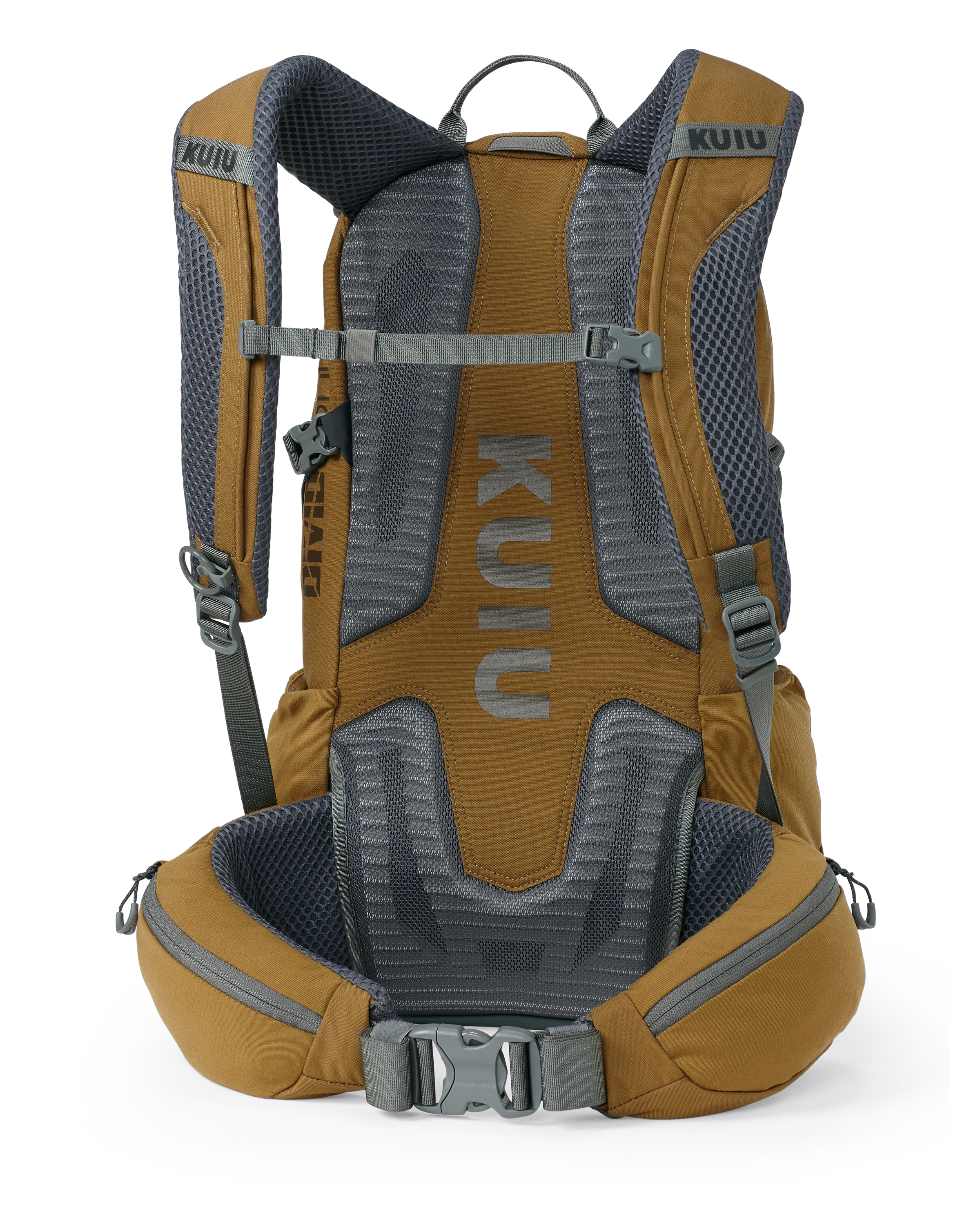 Divide 1500 | Buckskin