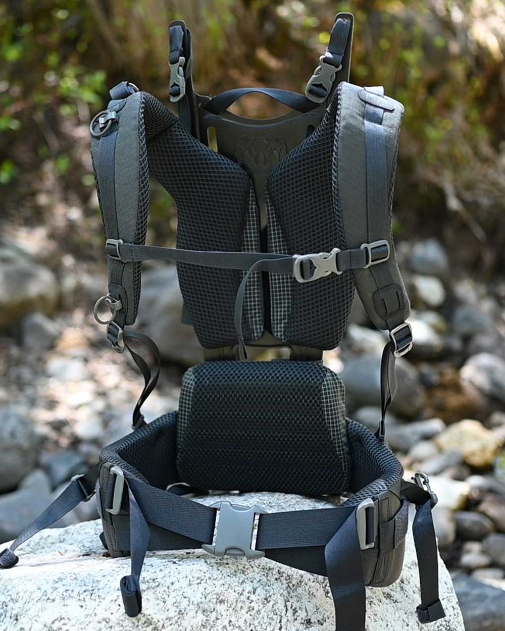 Women's PRO Suspension | Evergreen