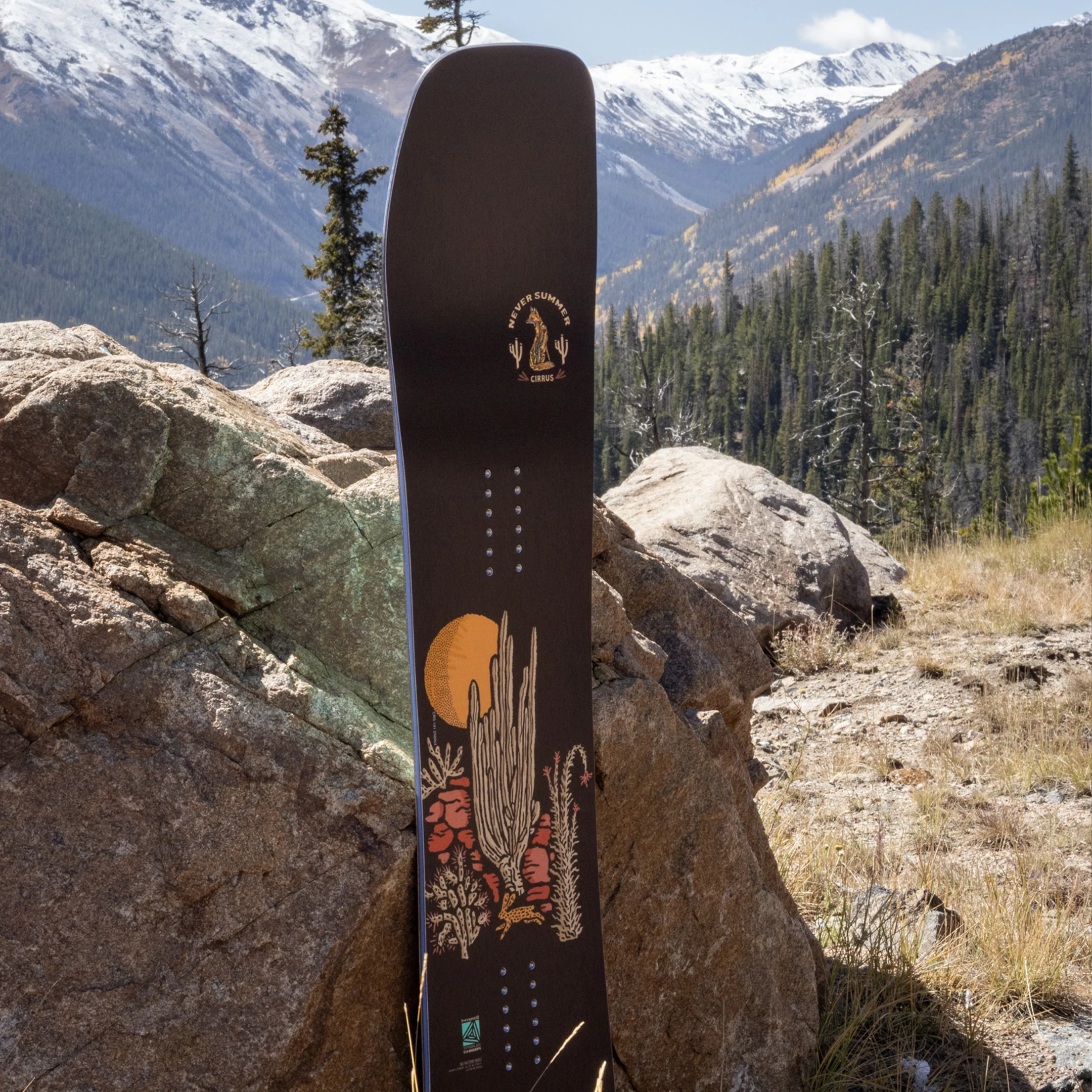 Women’s 2026 Cirrus Snowboard