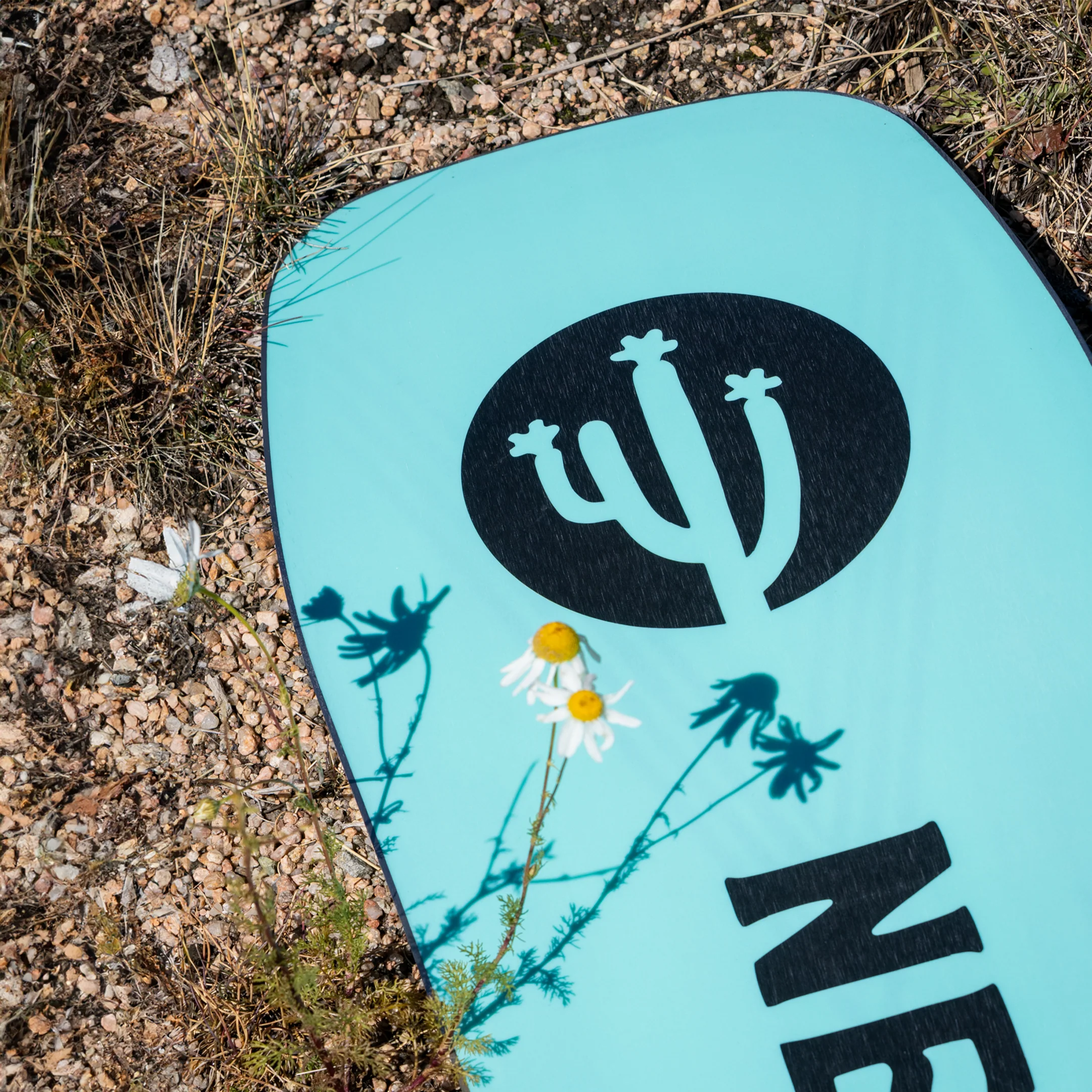 Women’s 2026 Cirrus Snowboard