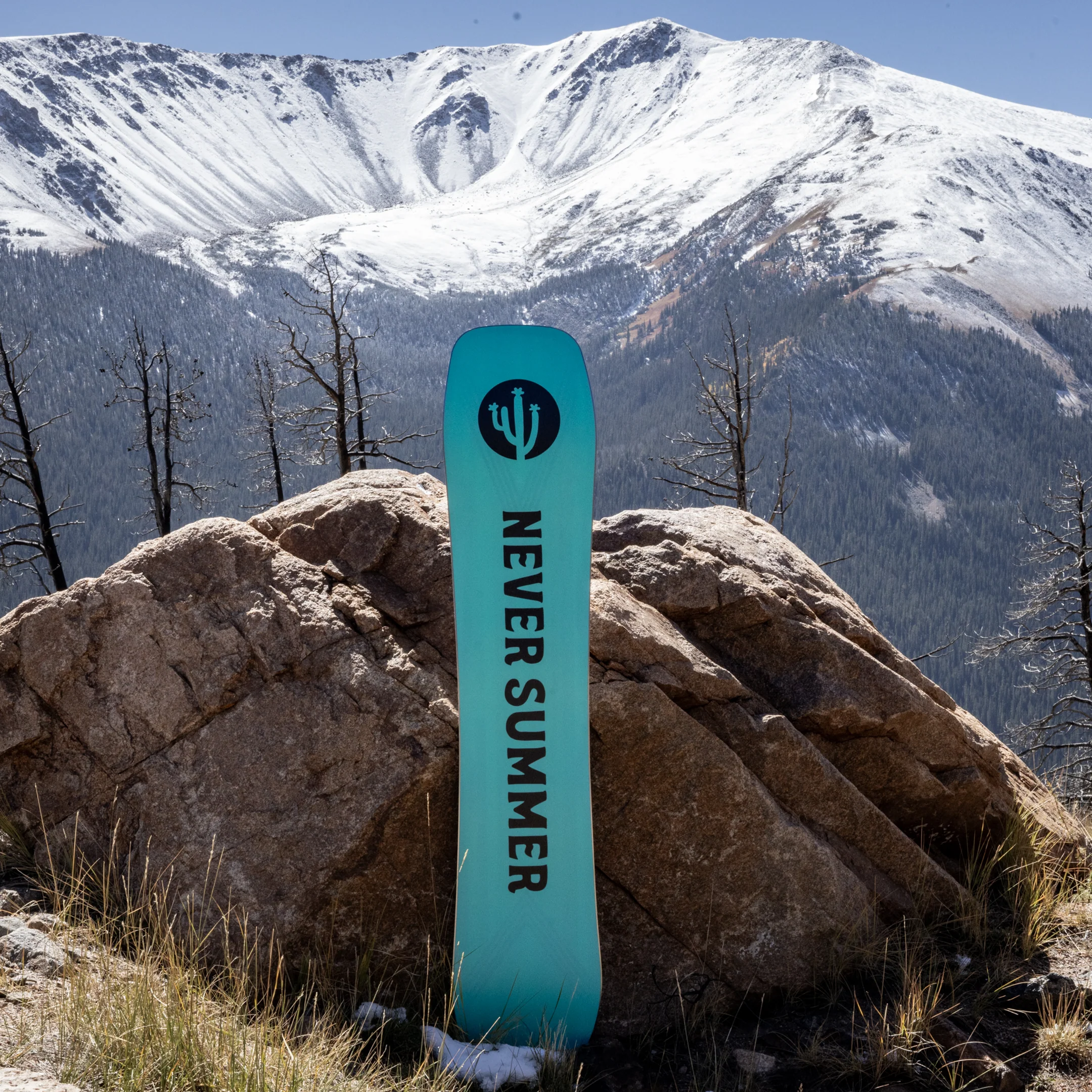 Women’s 2026 Cirrus Snowboard