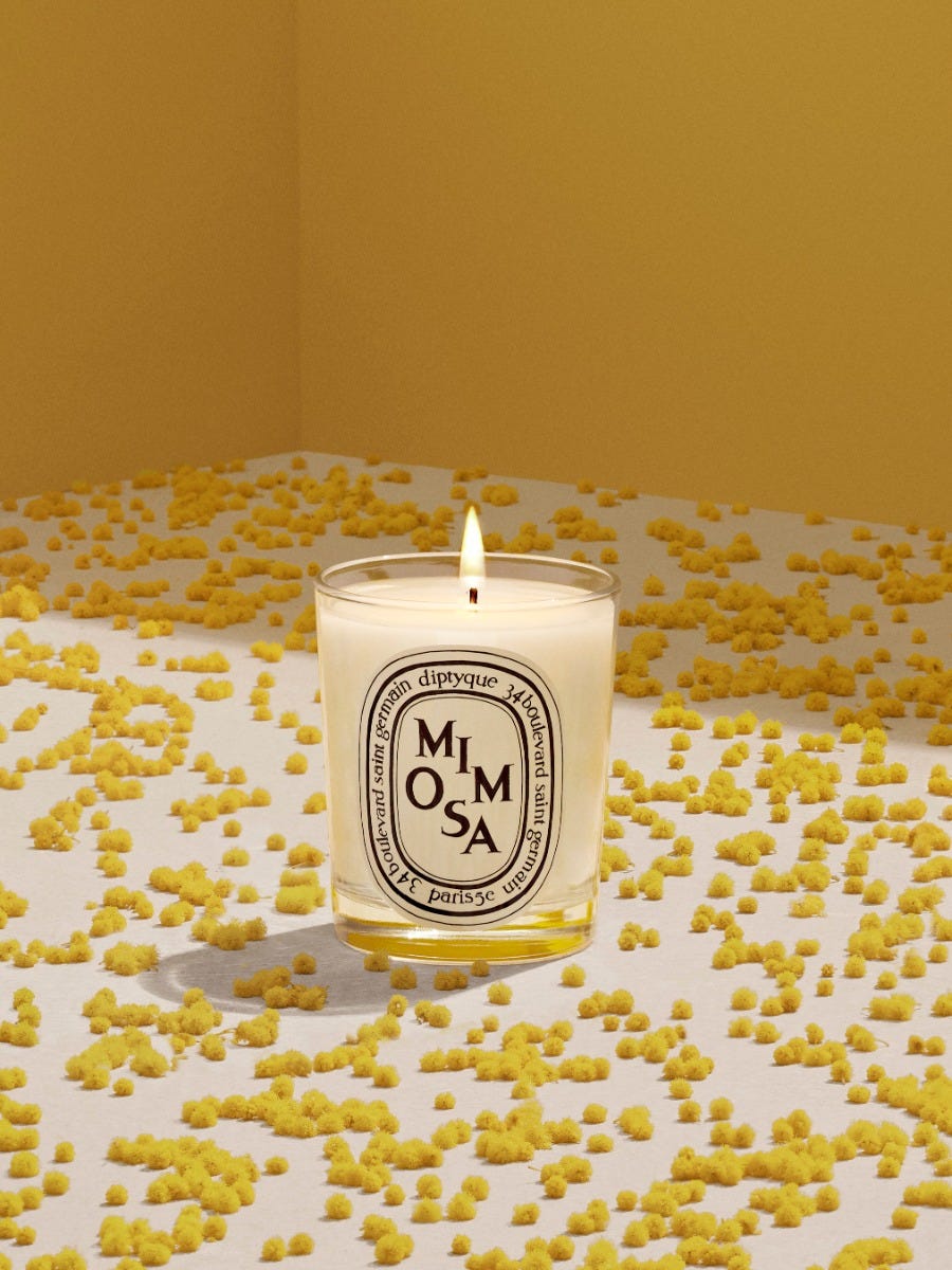 Mimosa - Small Candle