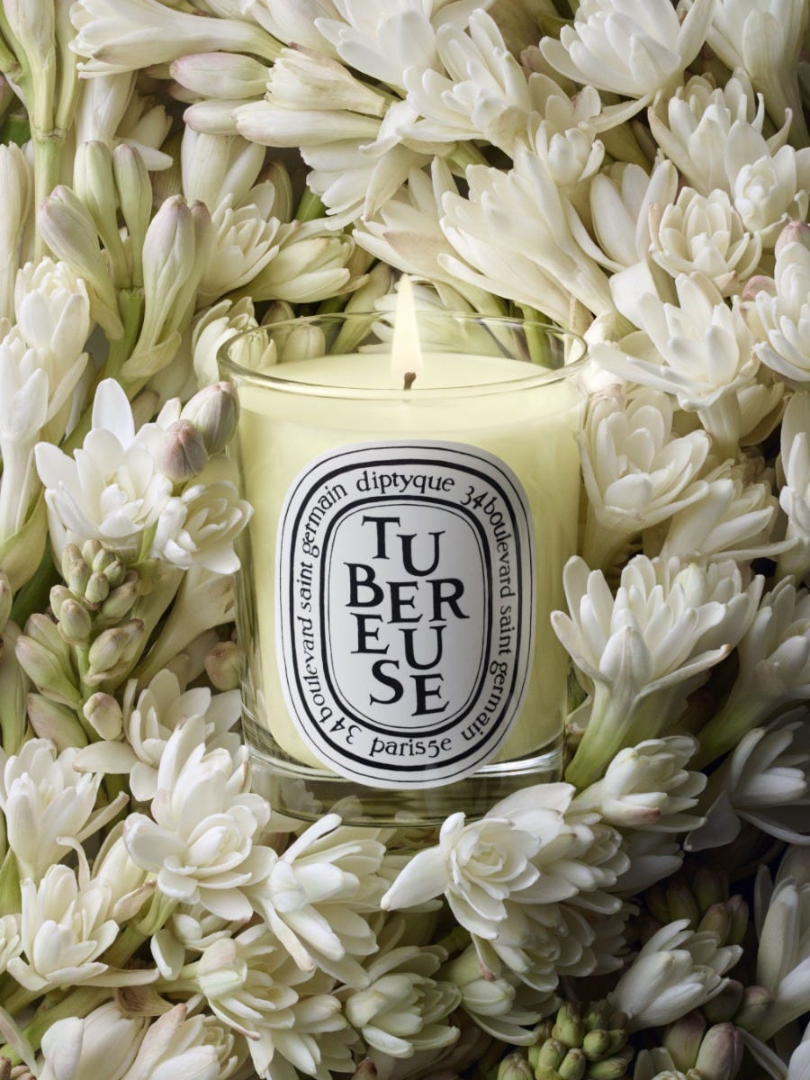 Tubéreuse (Tuberose) - Classic Candle