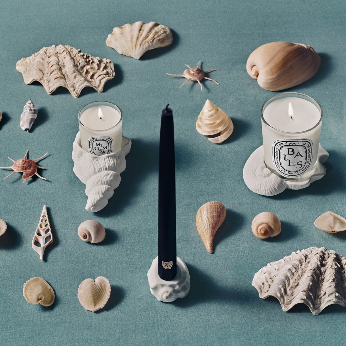 Shell stand - For taper candles