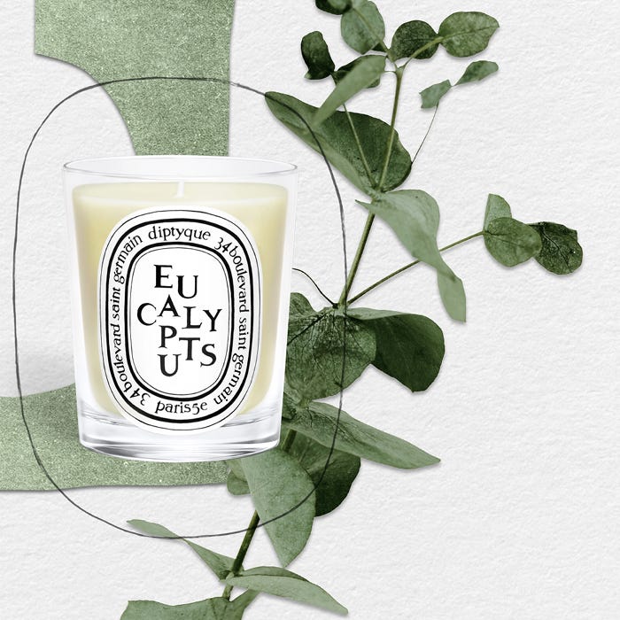 Eucalyptus - Classic Candle