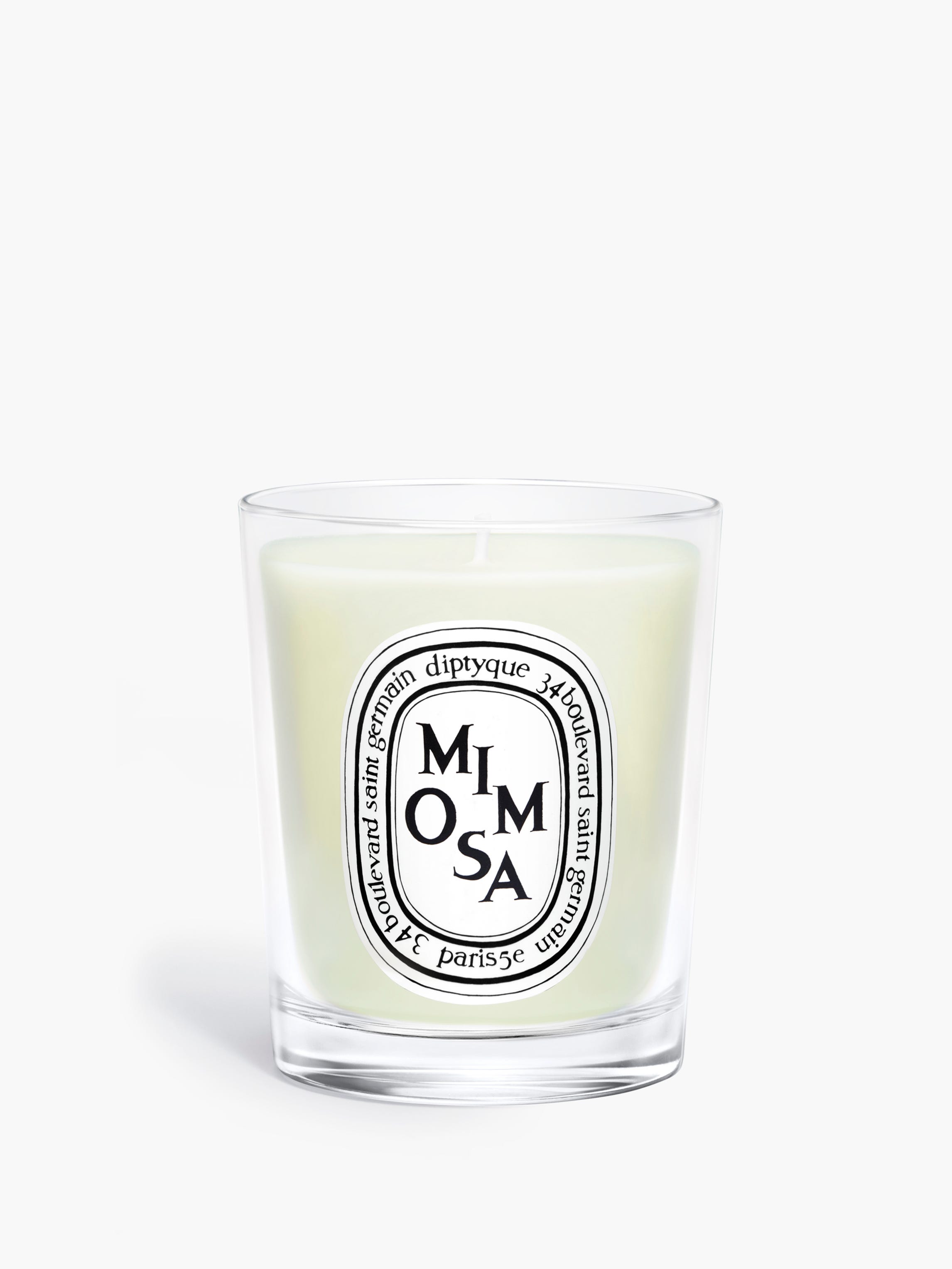 Mimosa - Small Candle