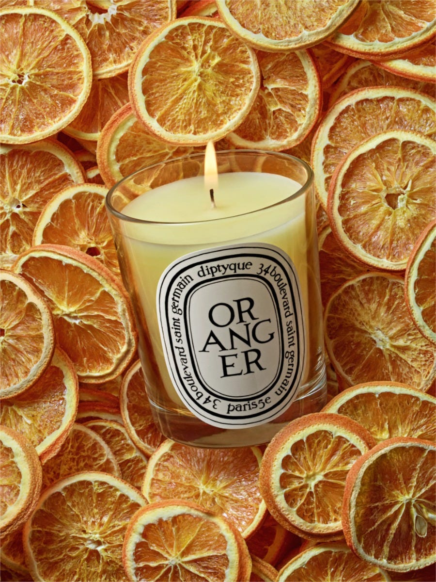 Oranger (Orange Tree) - Classic Candle
