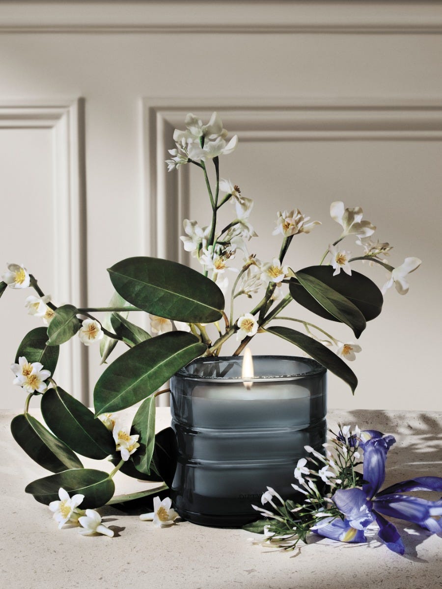 Nymphées Merveilles (Nymphaeum of Wonders) - Refillable Candle