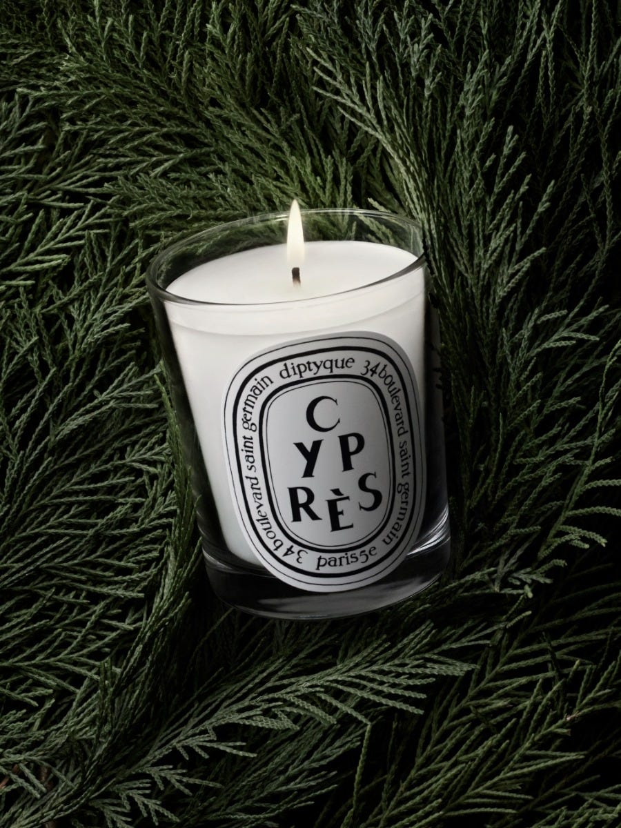 Cyprès (Cypress) - Small Candle