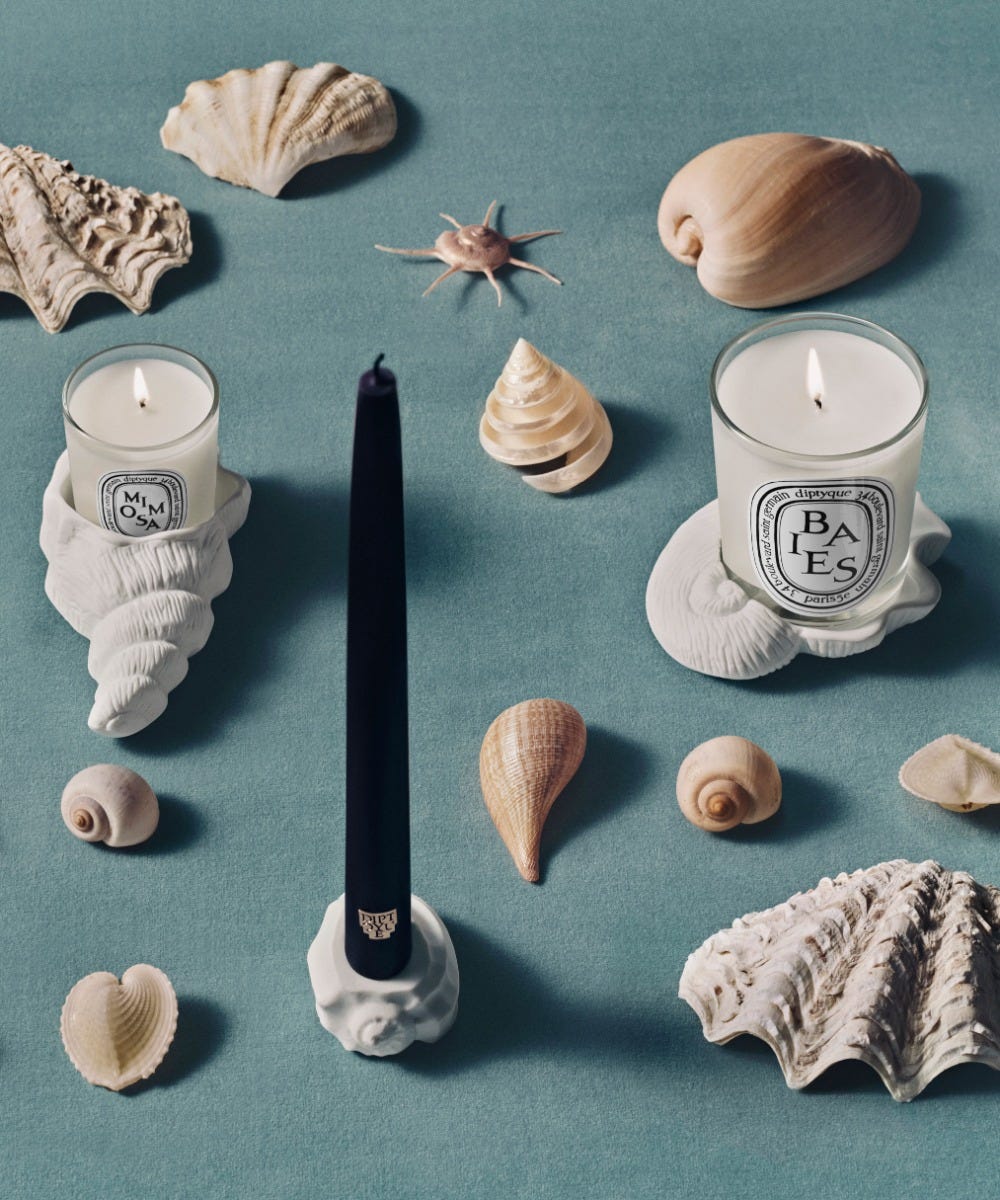 Shell stand - For small candles