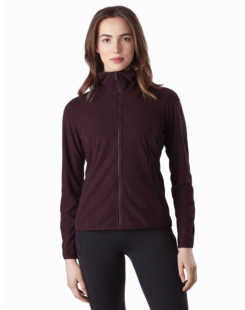 Arc'teryx Delta LT Hoodie Womens - Purple