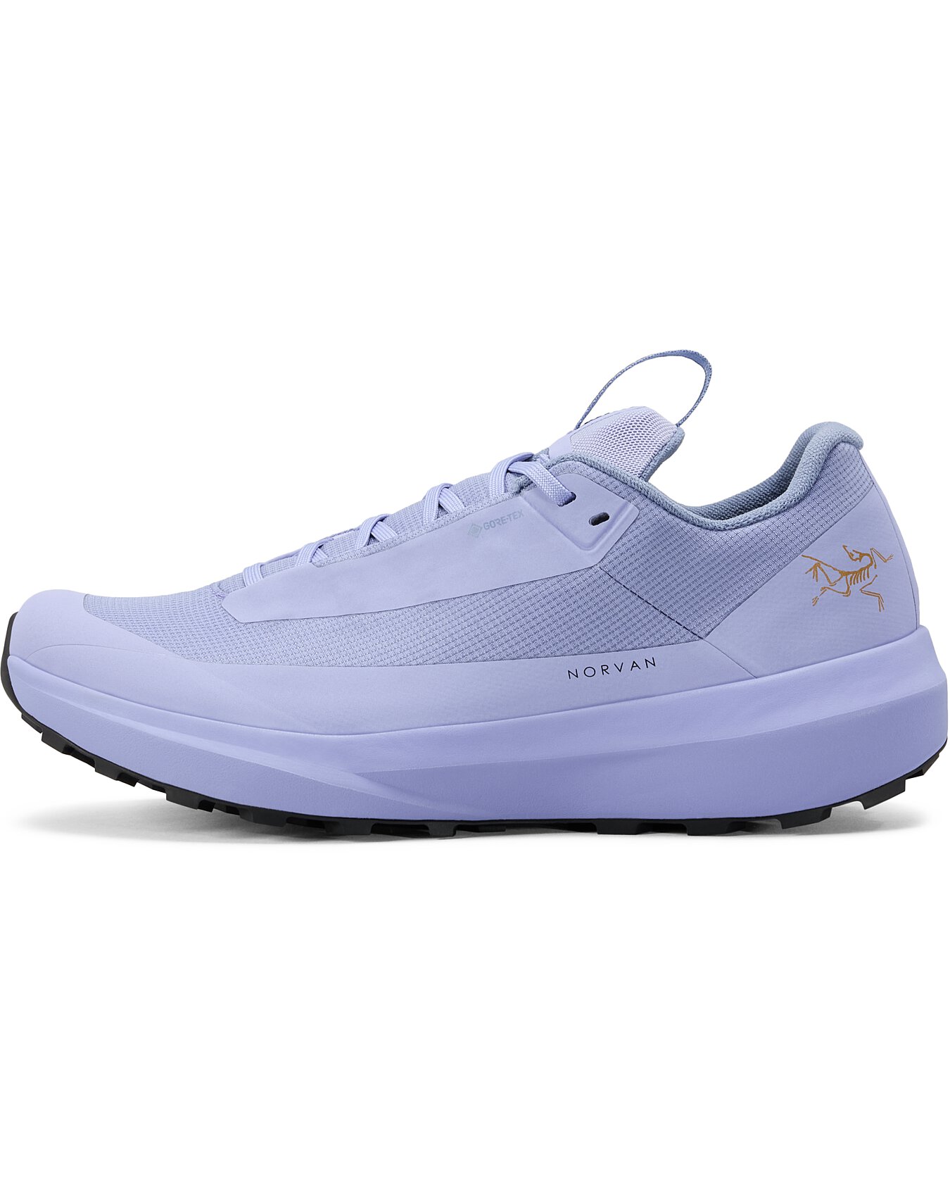 Norvan LD 4 GTX Shoe Women's